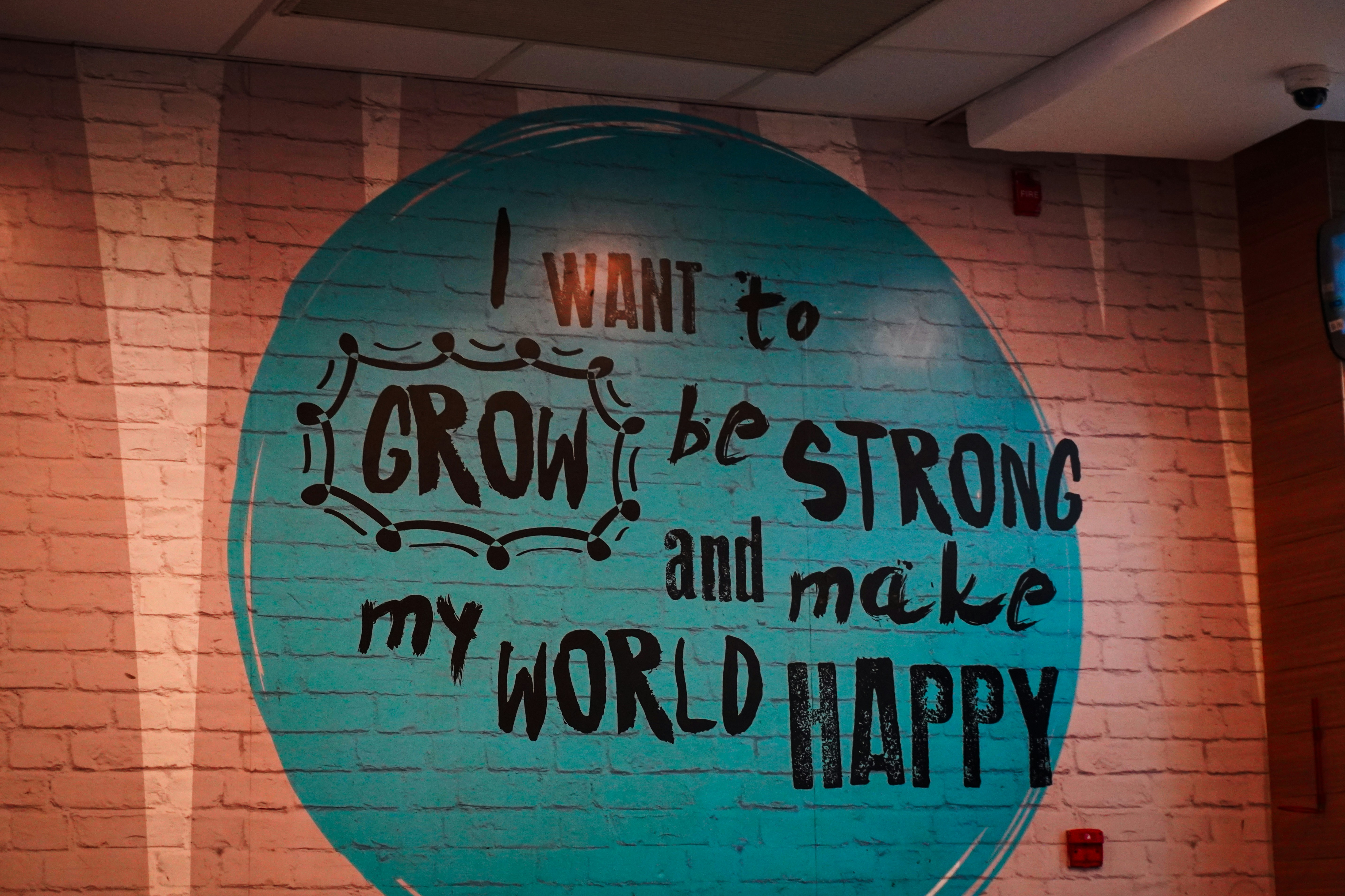 Prompt Engineering Intellectual Property Rights