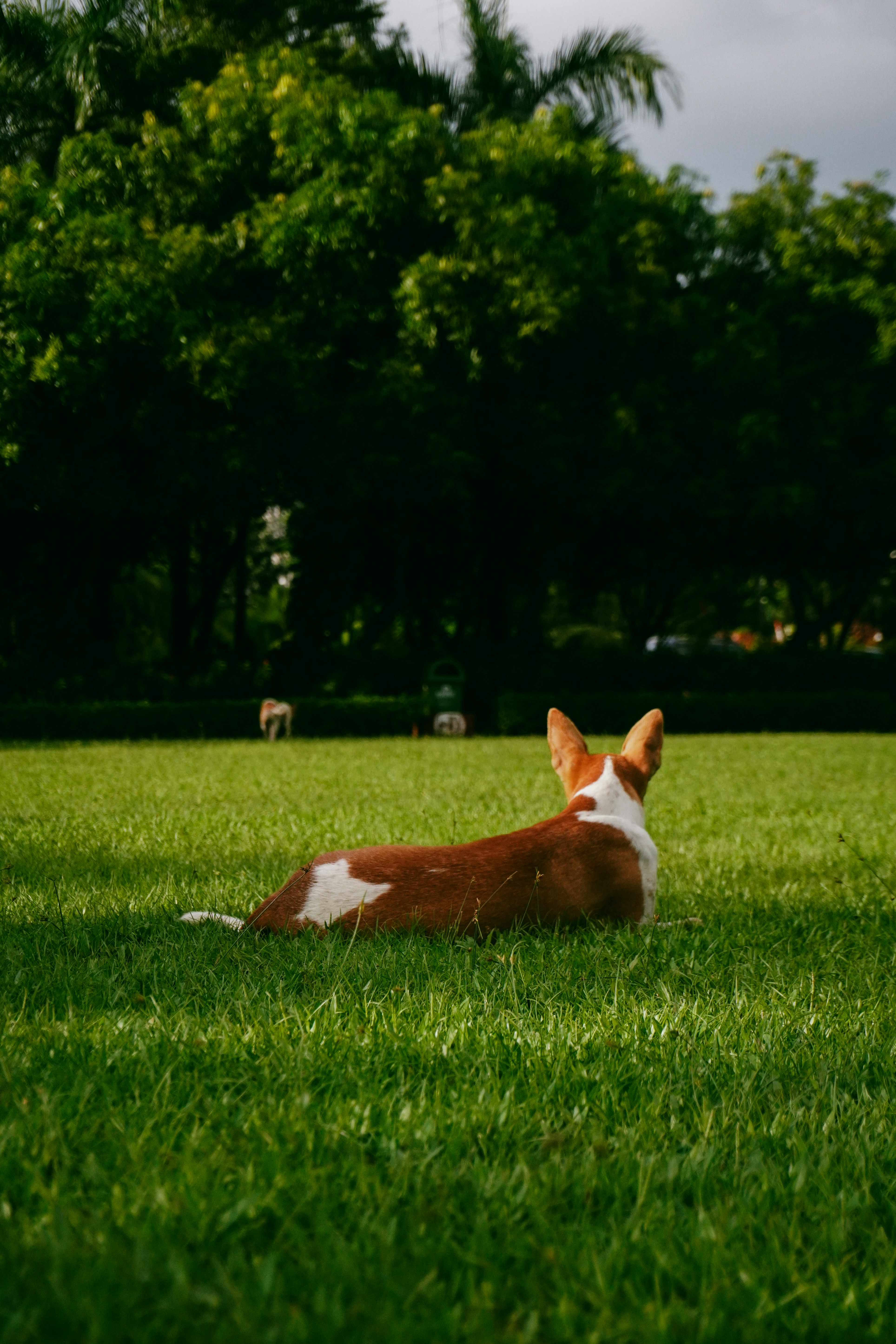 Photo by adhitya_2505