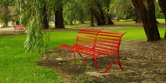 Red park bench sits under a weeping willow tree.