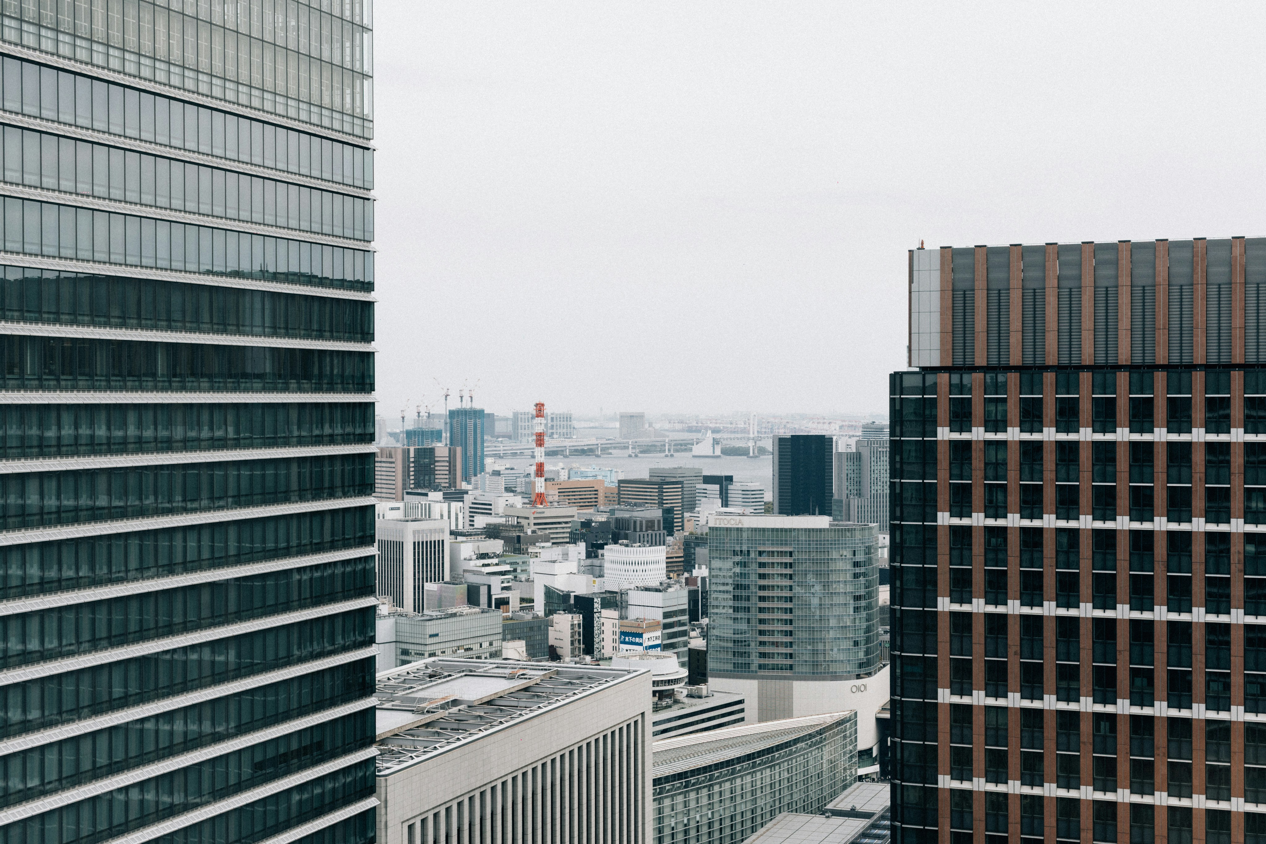 Photo by tsuyoshikozu