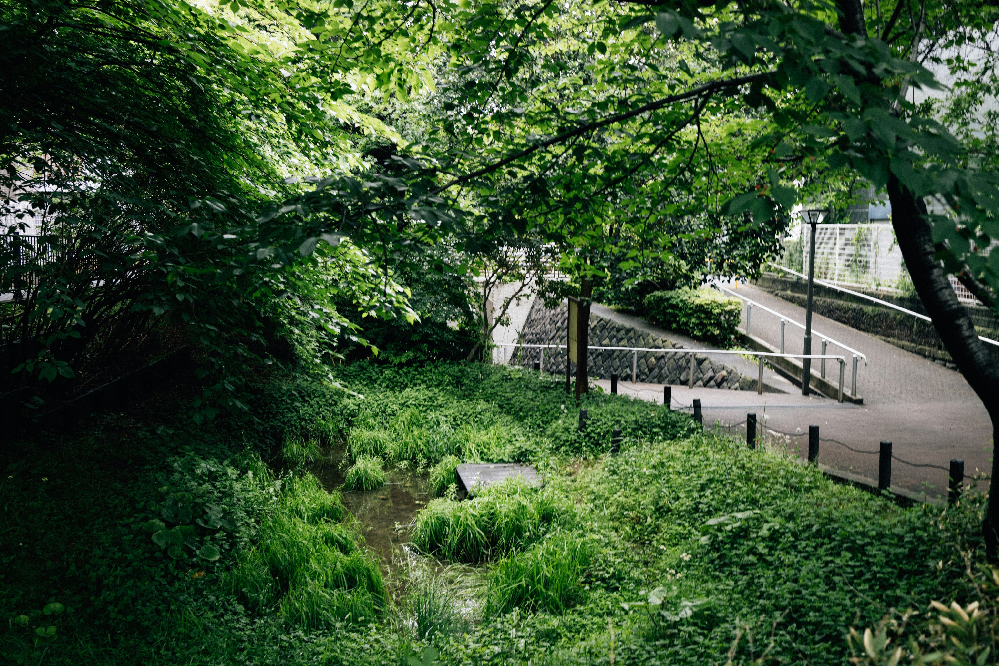 Photo by tsuyoshikozu