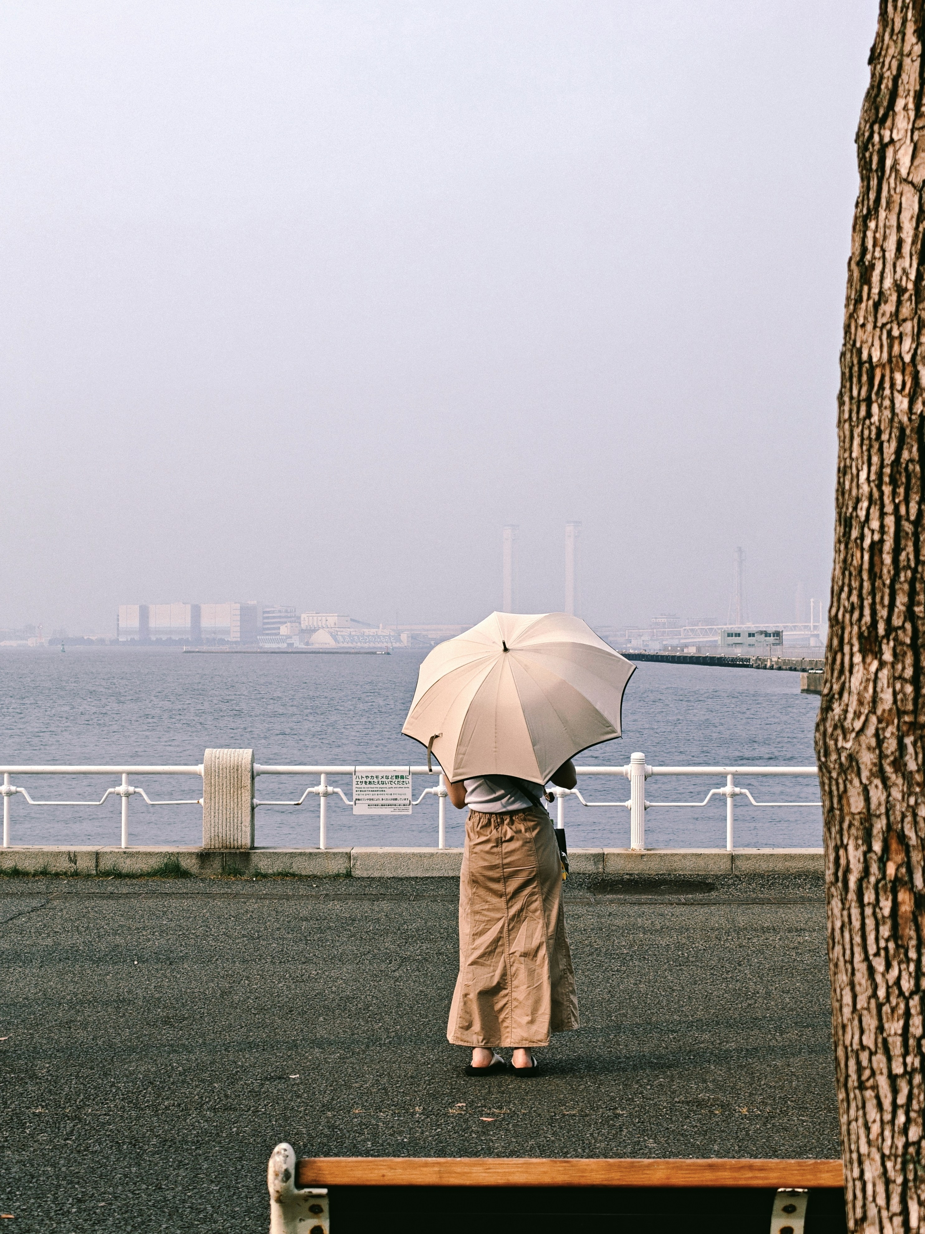 Yokohama travel photo