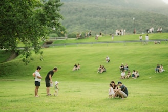 People enjoying a sunny day in a grassy park.
