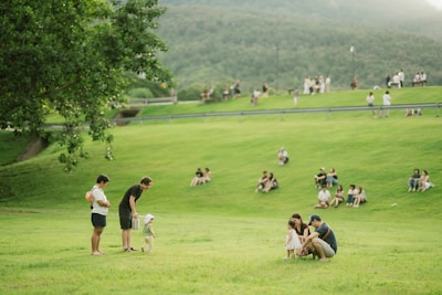 People enjoying a sunny day in a grassy park.