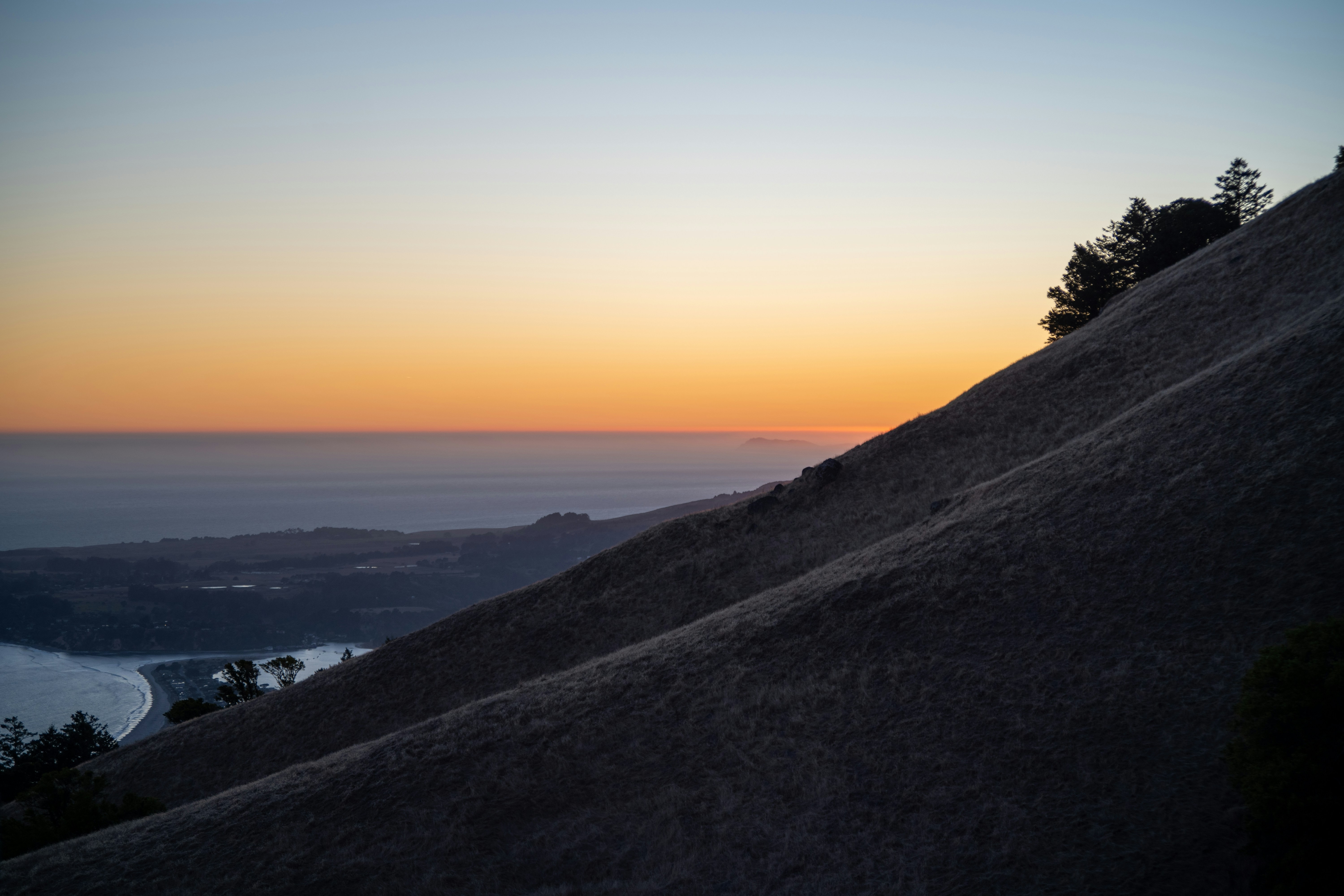 Photo by alexandforests