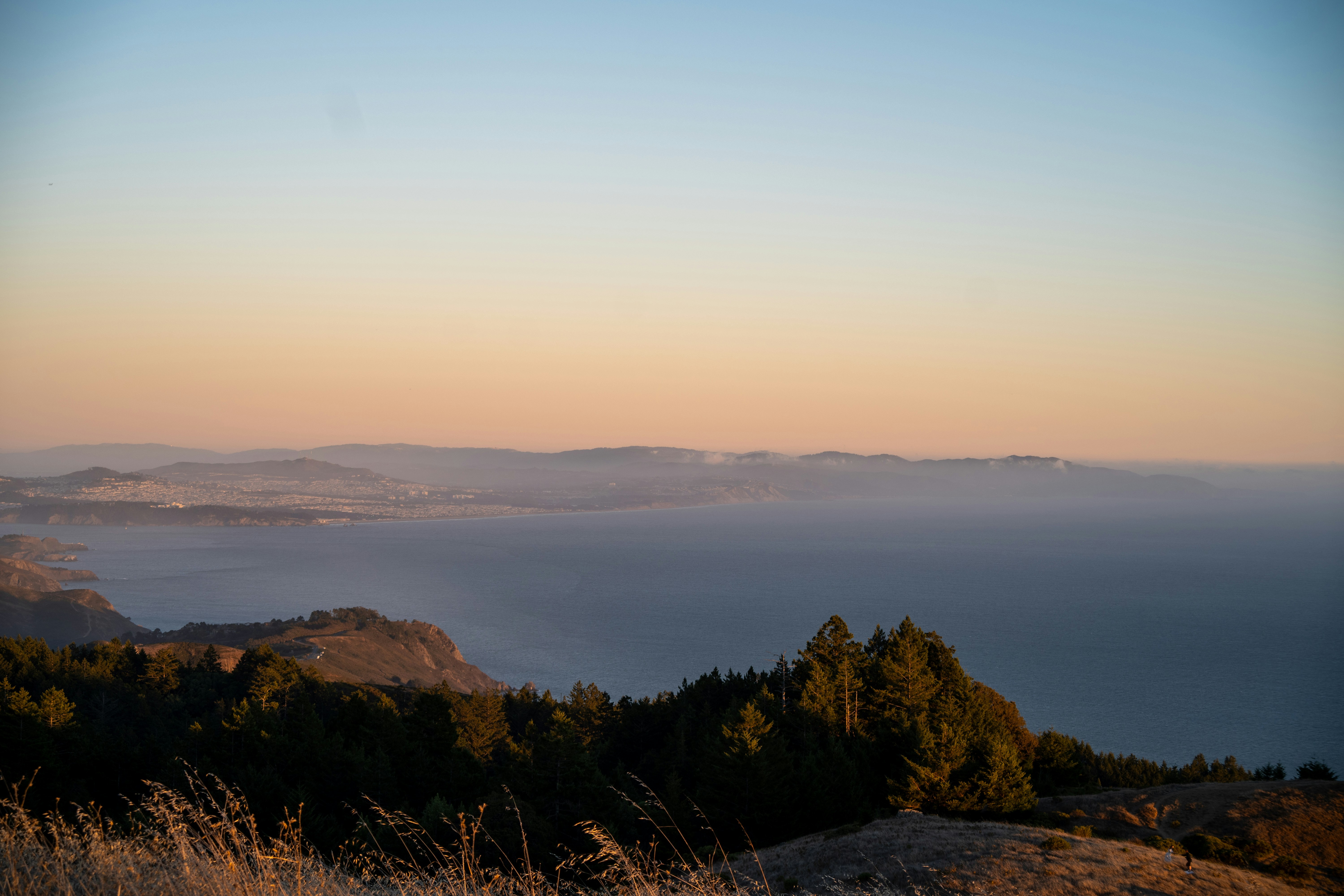 Photo by alexandforests