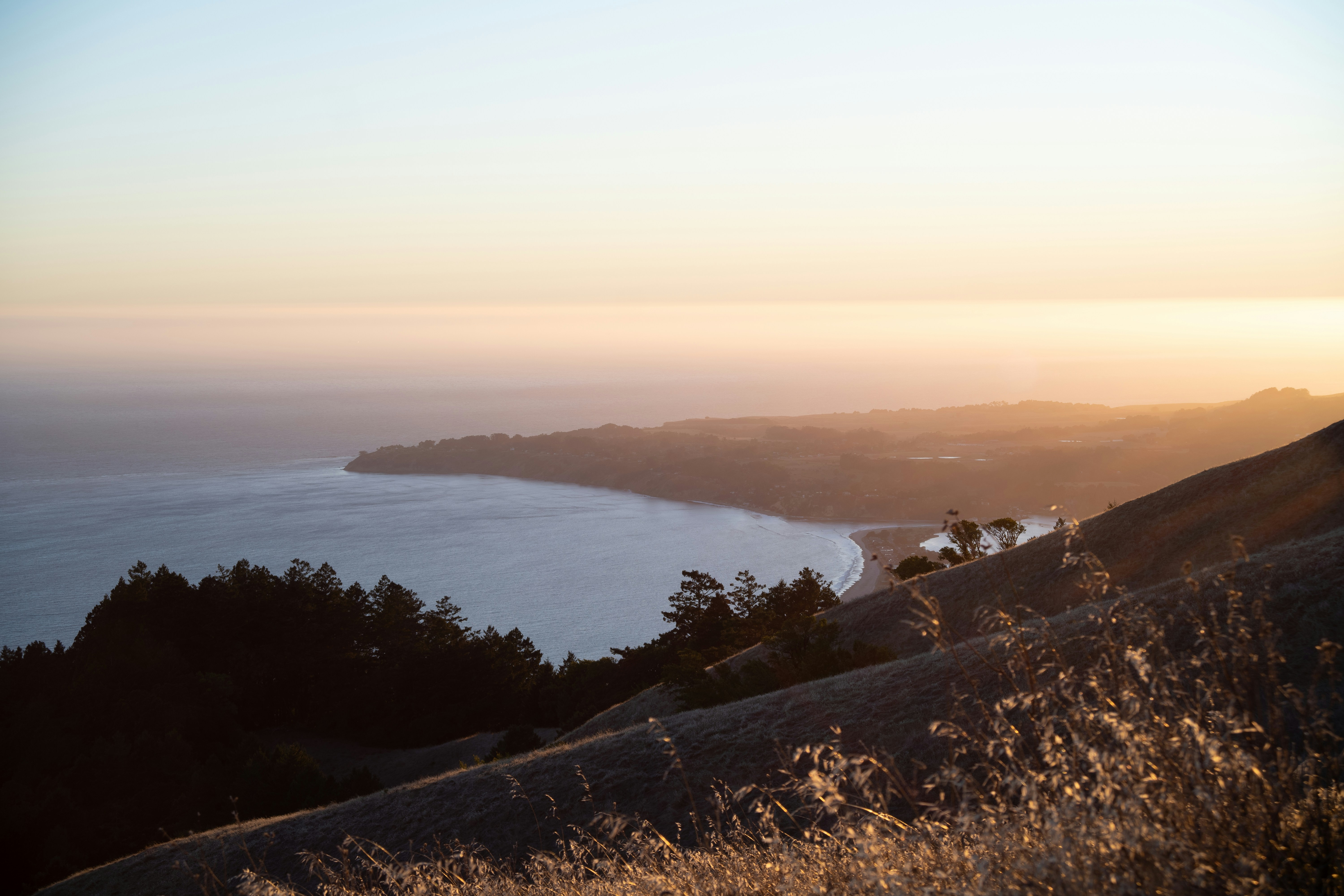 Photo by alexandforests