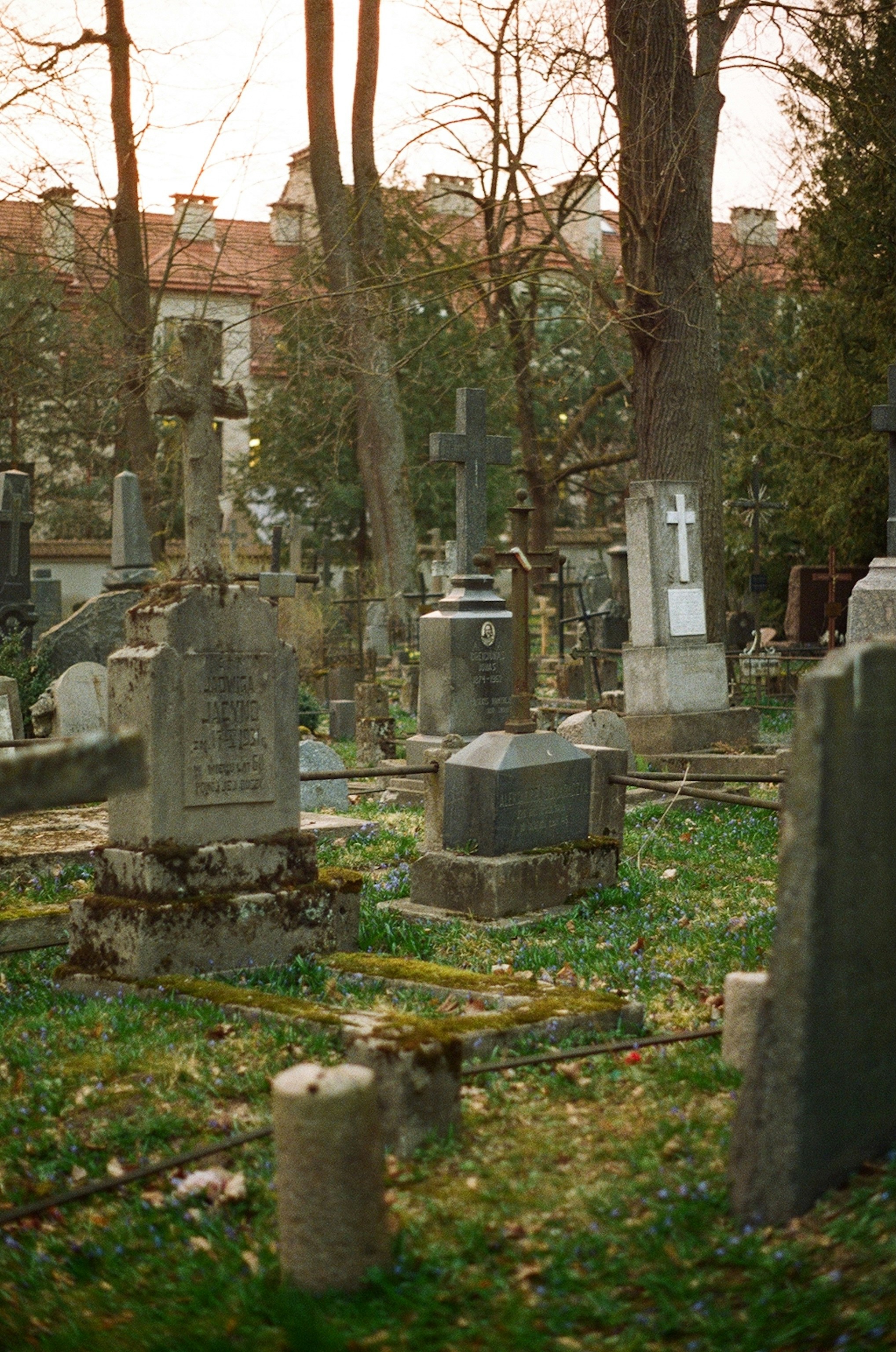 Photo by nadzeya1104