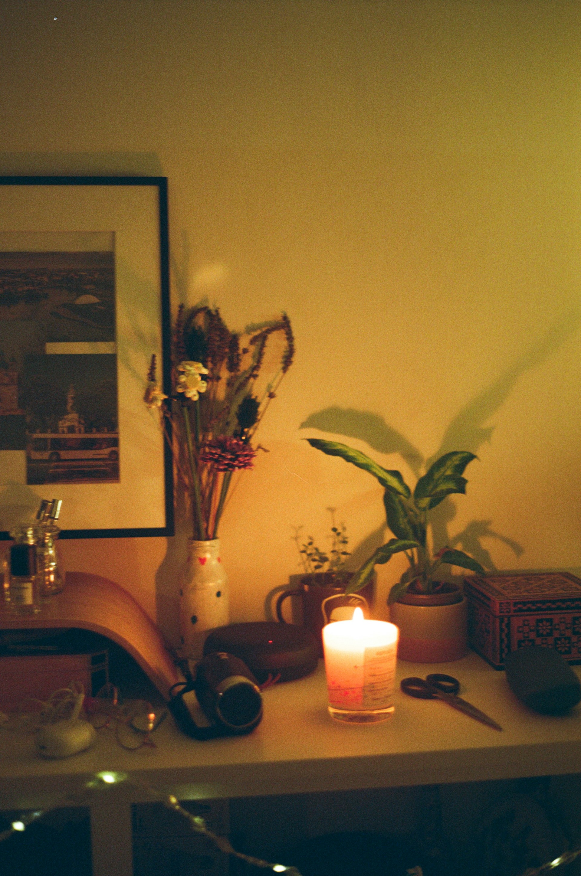 A lit candle on a shelf with plants and decor.