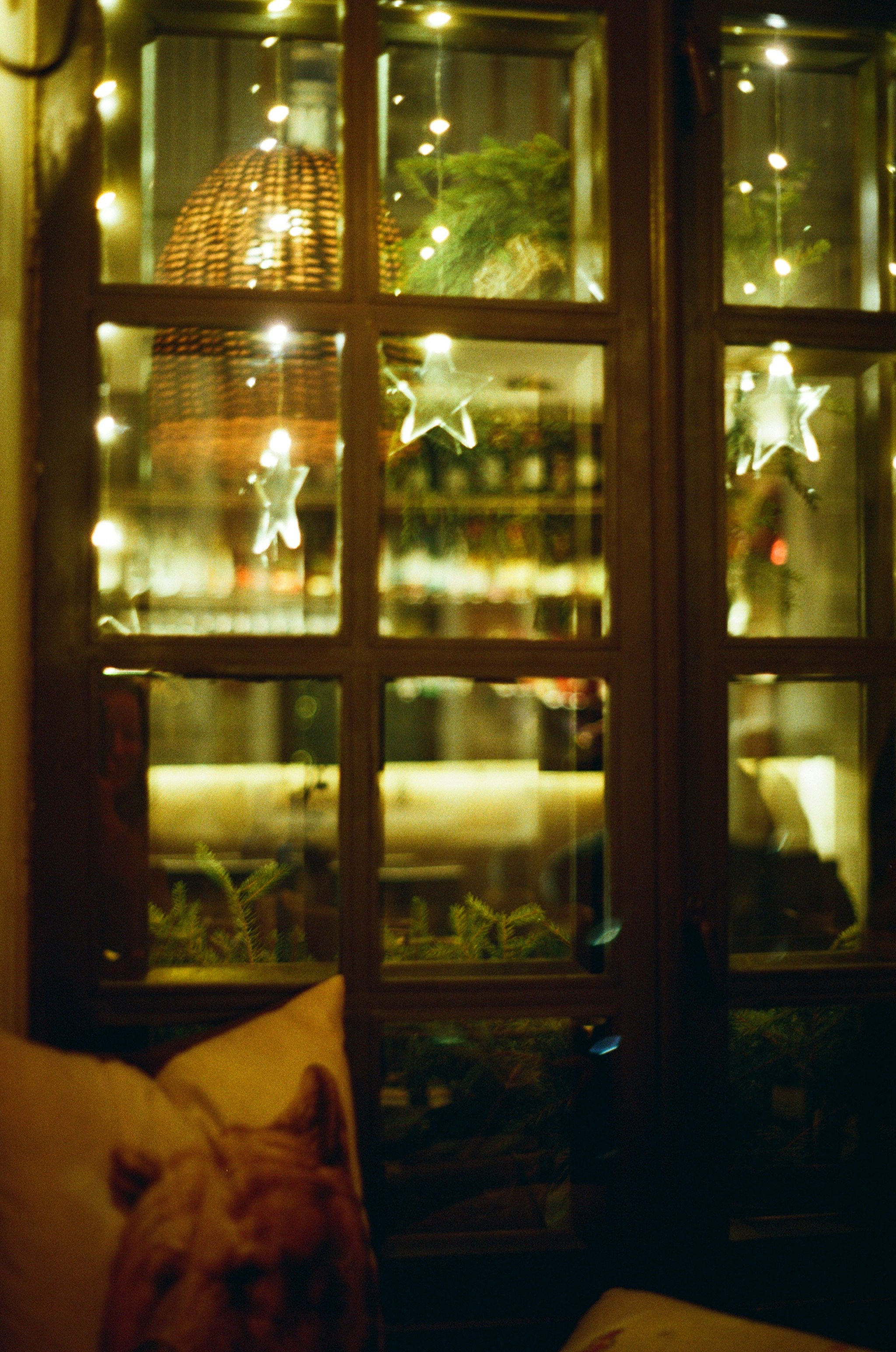 Photo by nadzeya1104