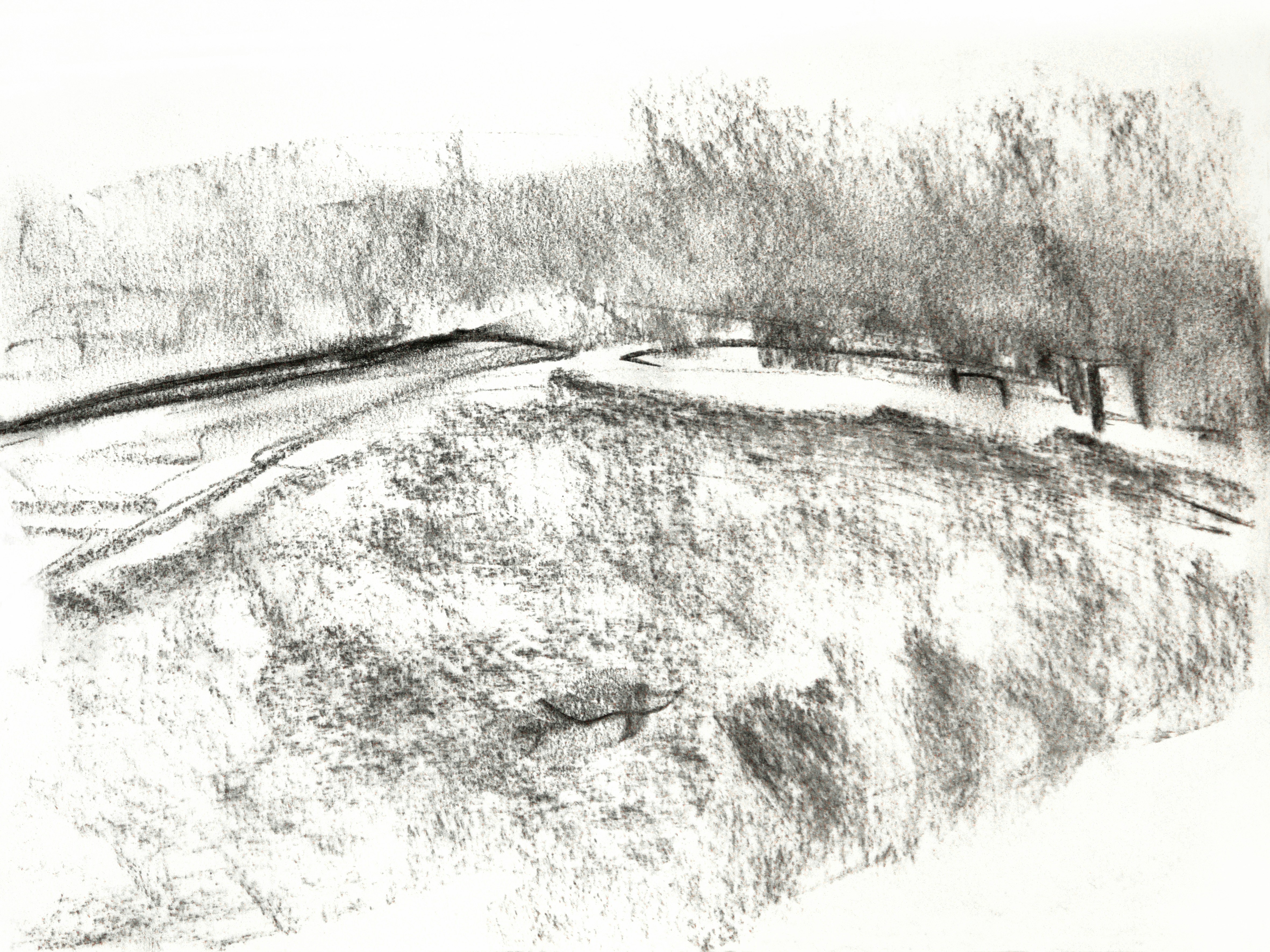 Landscape design sketch