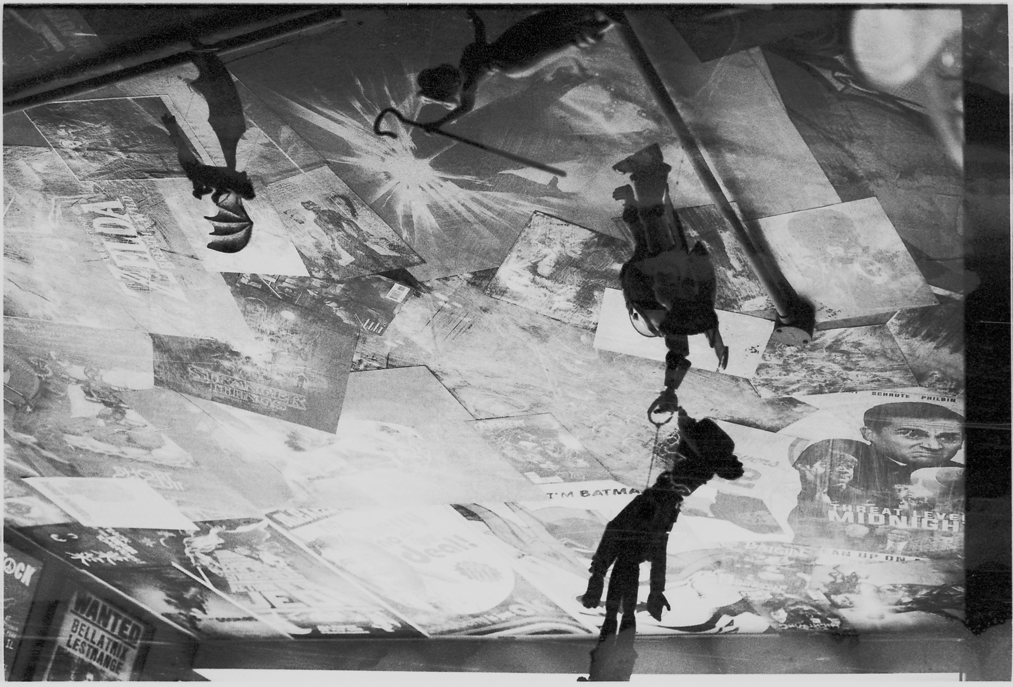 Photo by tanyabarrow