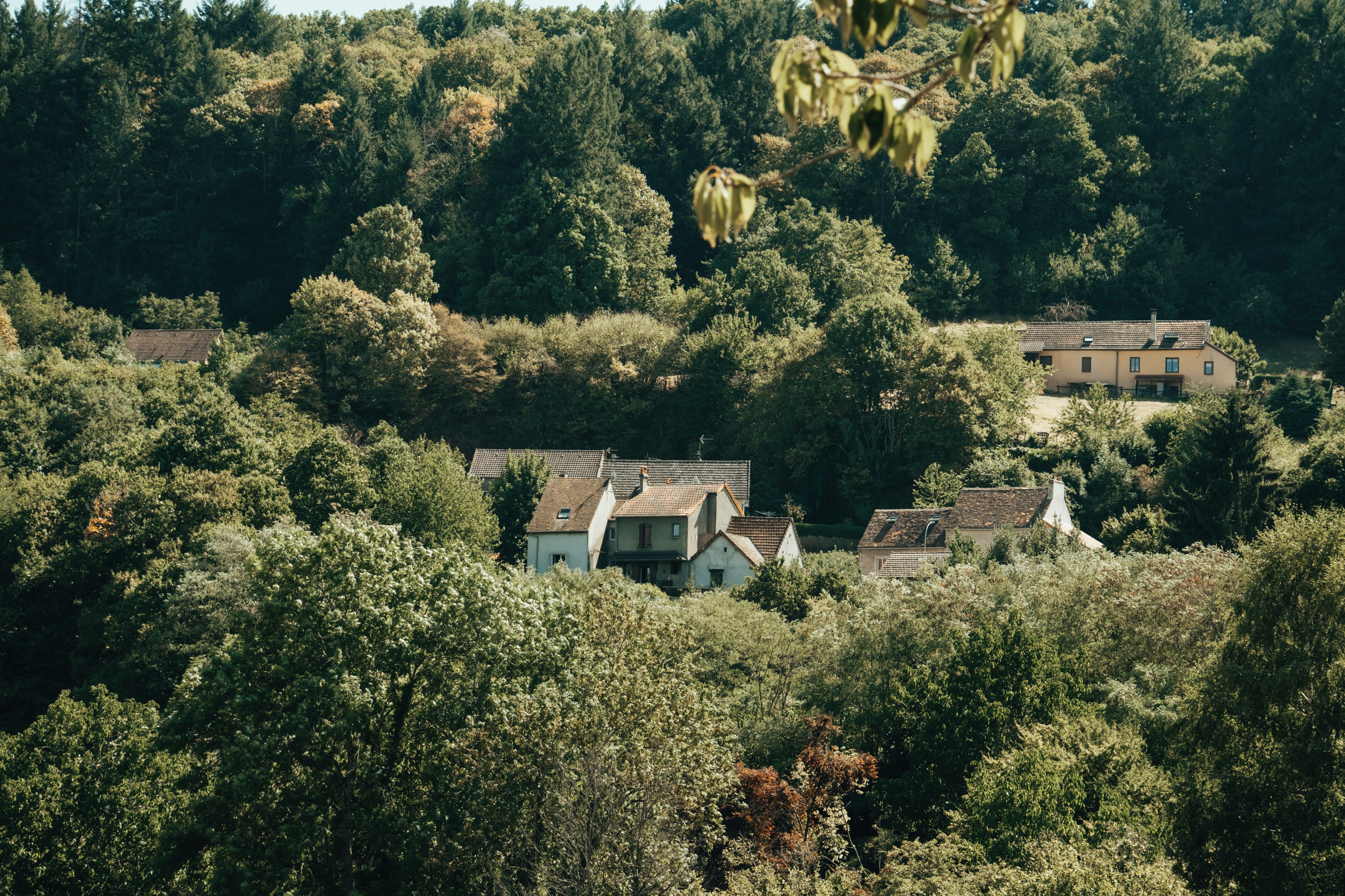 Houses nestled among lush green trees on a hill.
