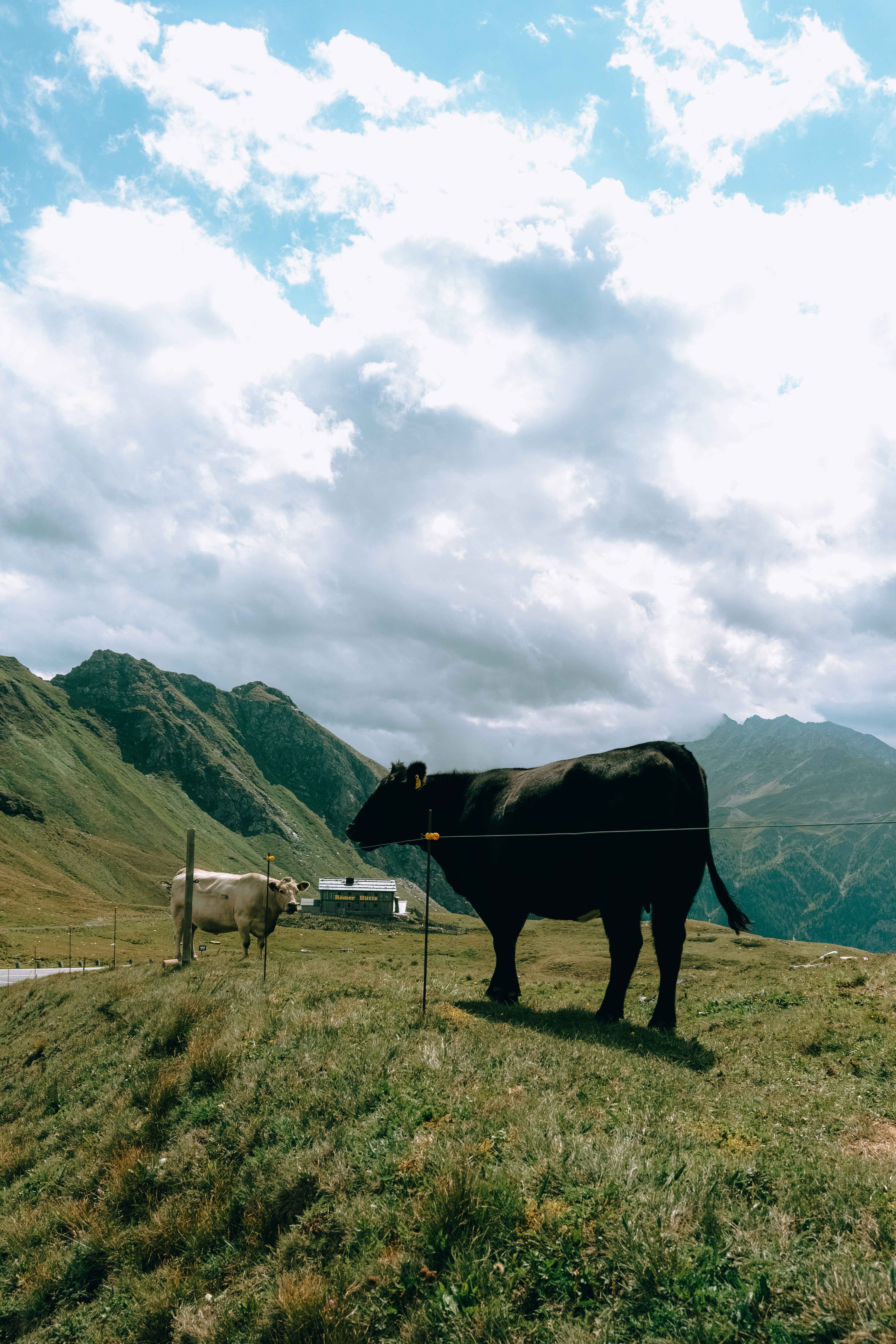 Photo by branislavrodman