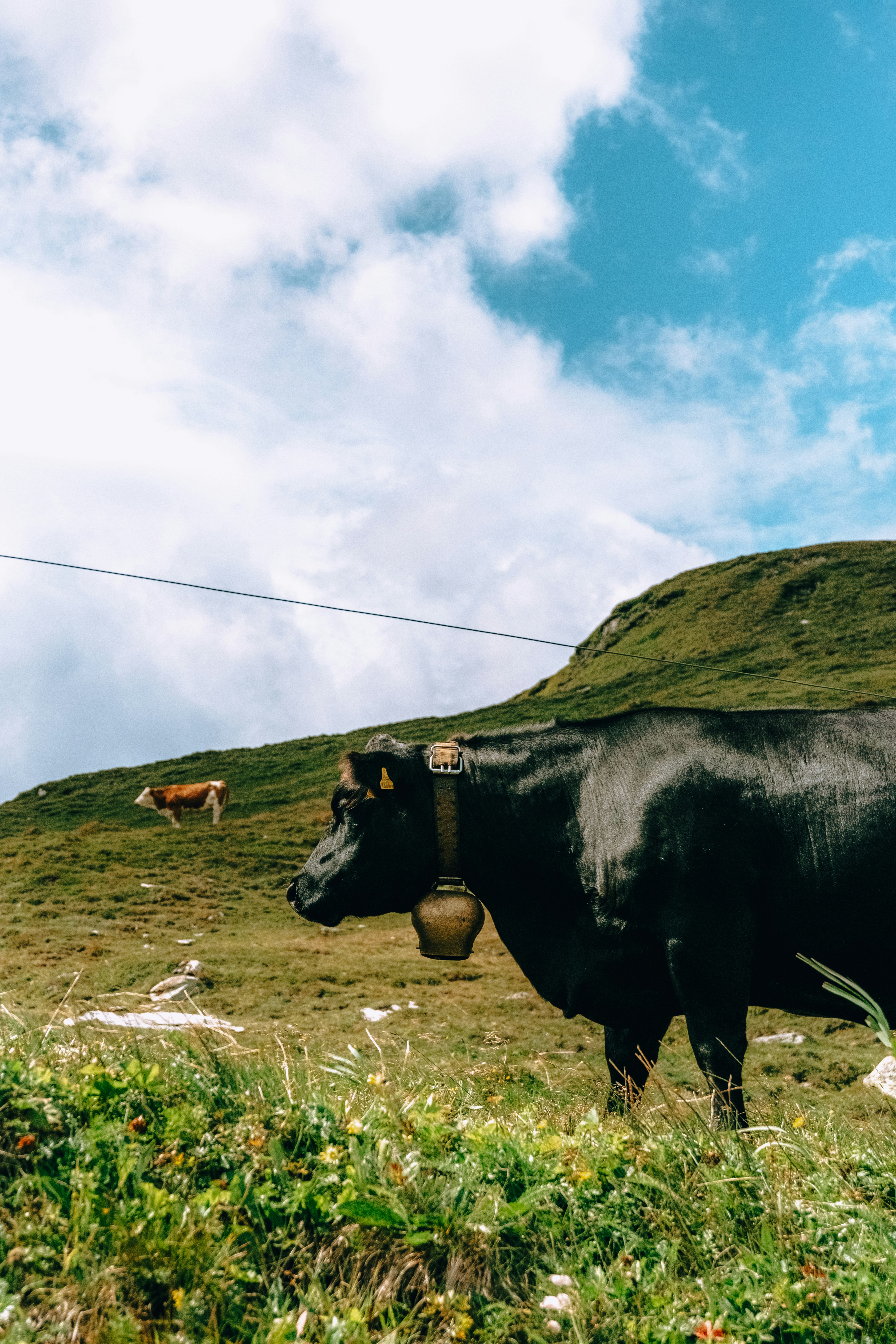 Photo by branislavrodman