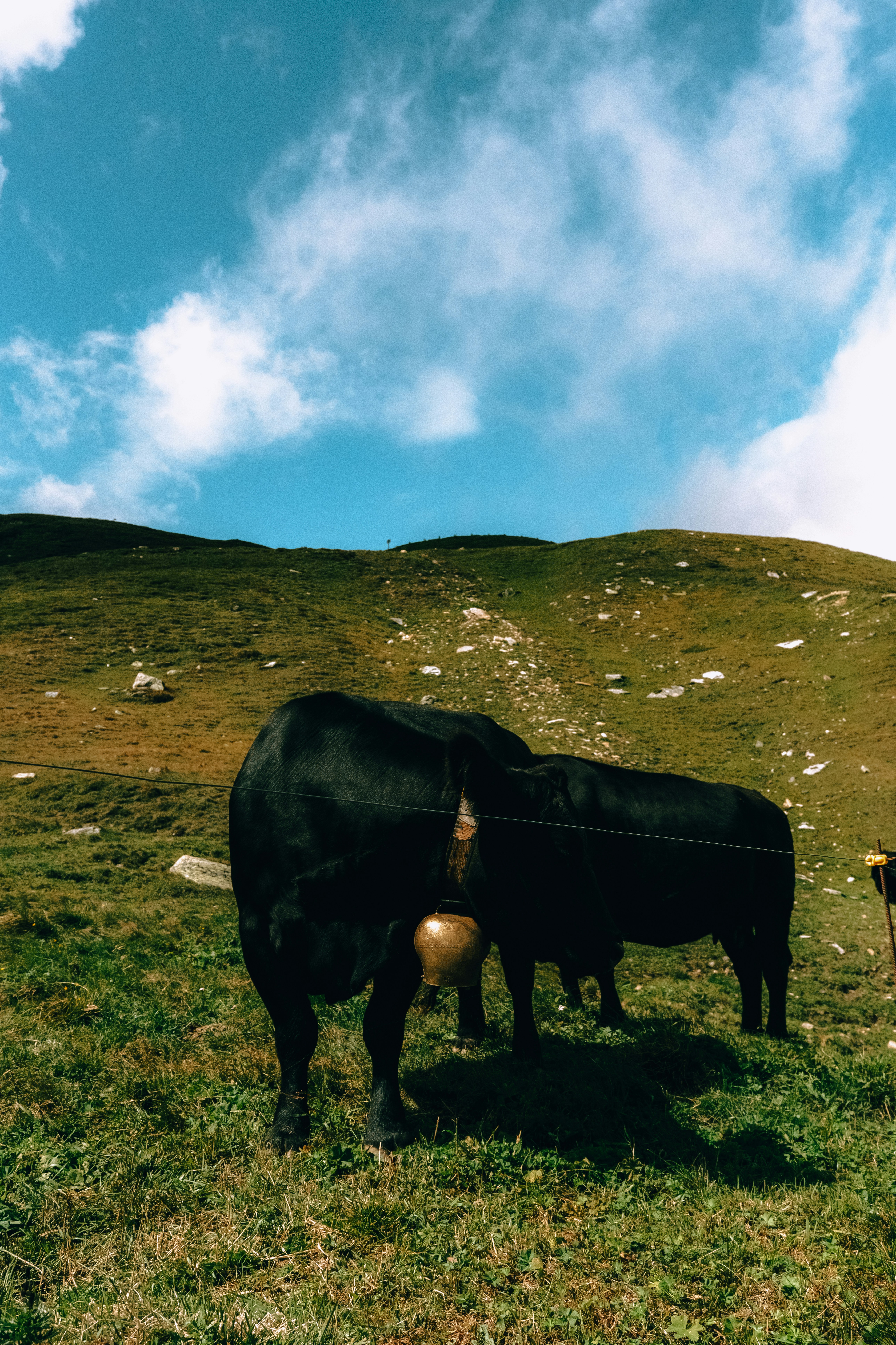 Photo by branislavrodman