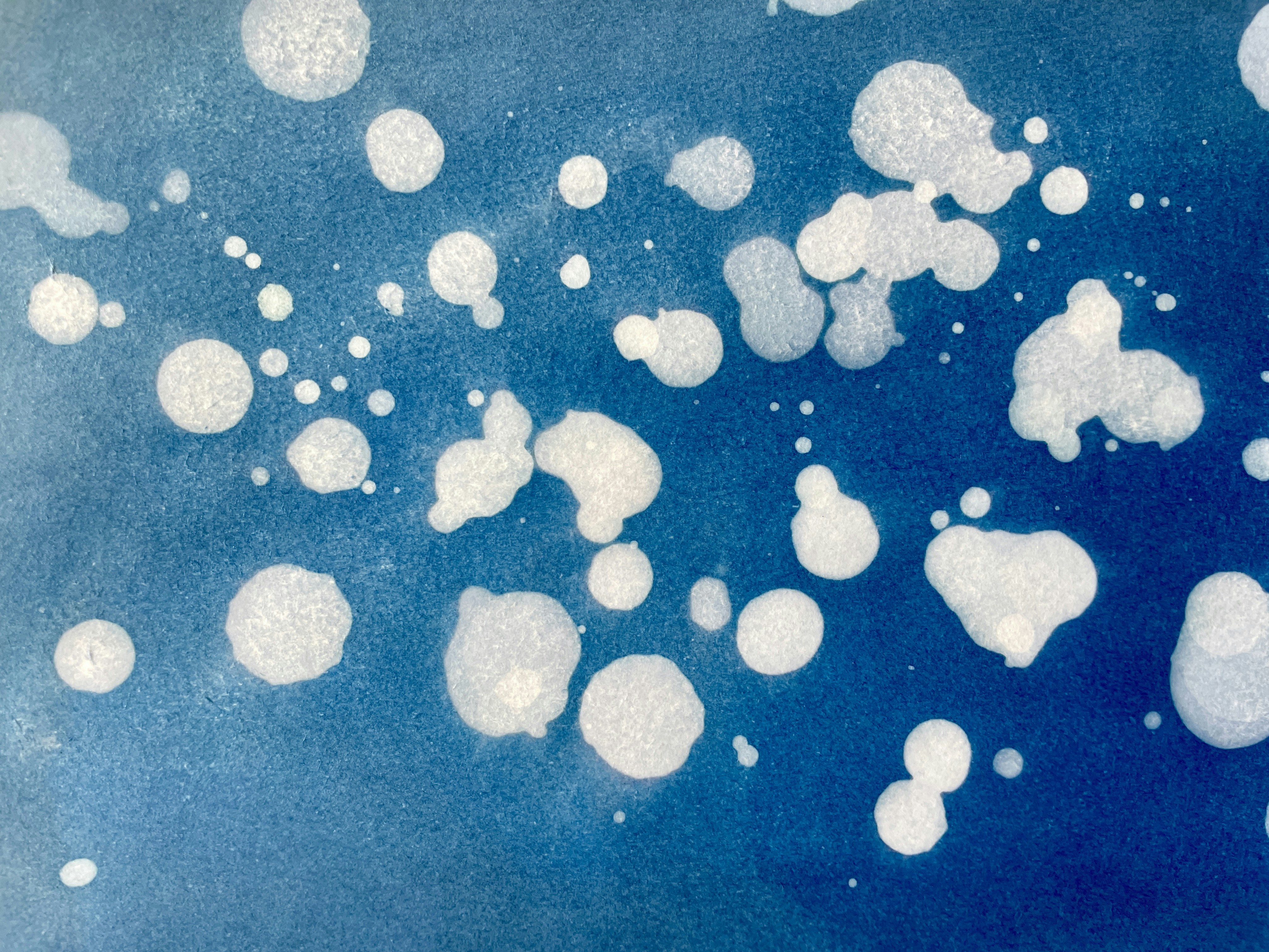 Photo by siobhanflannery