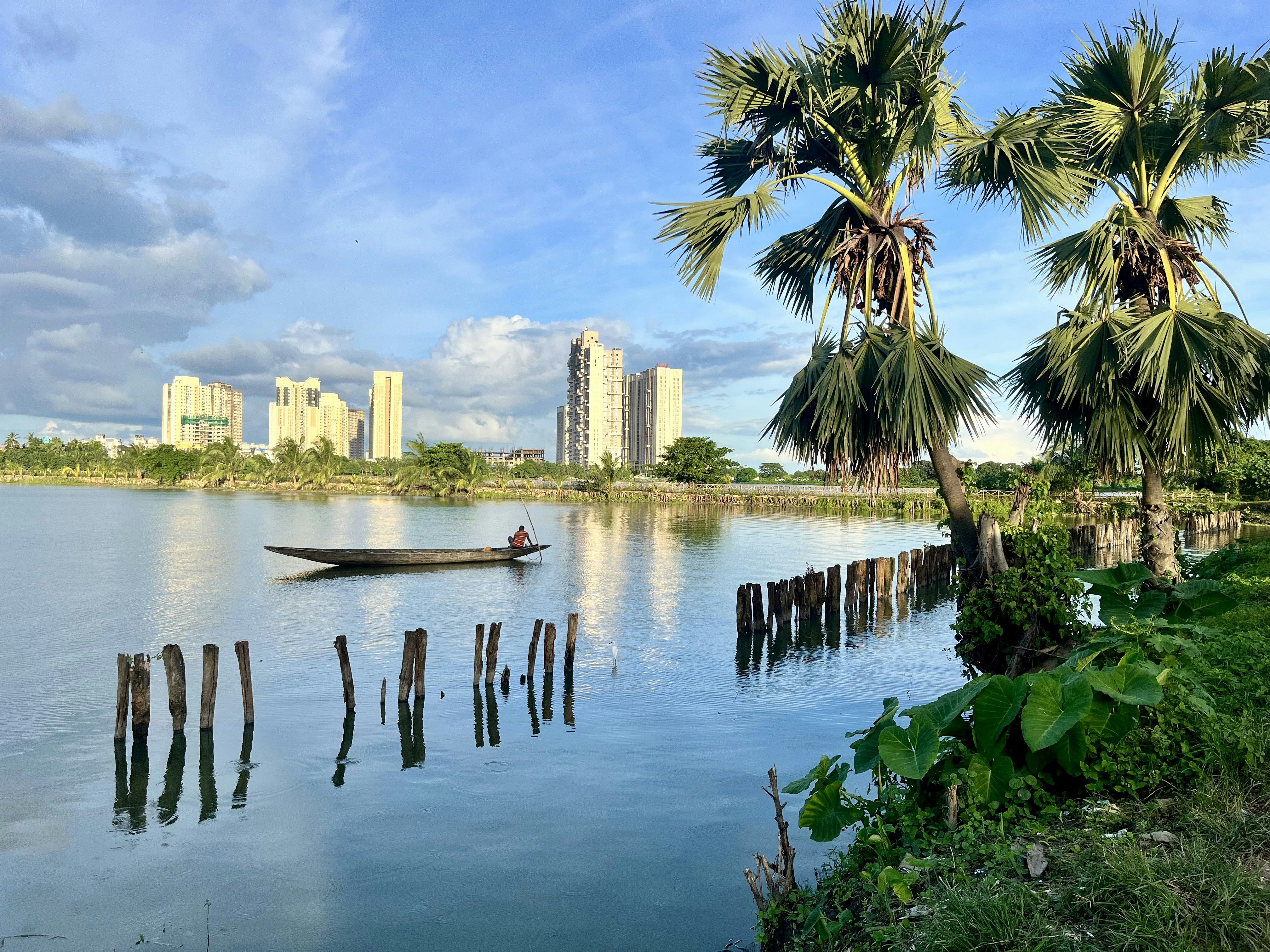 A lone boat on a calm lake with palm trees and buildings.