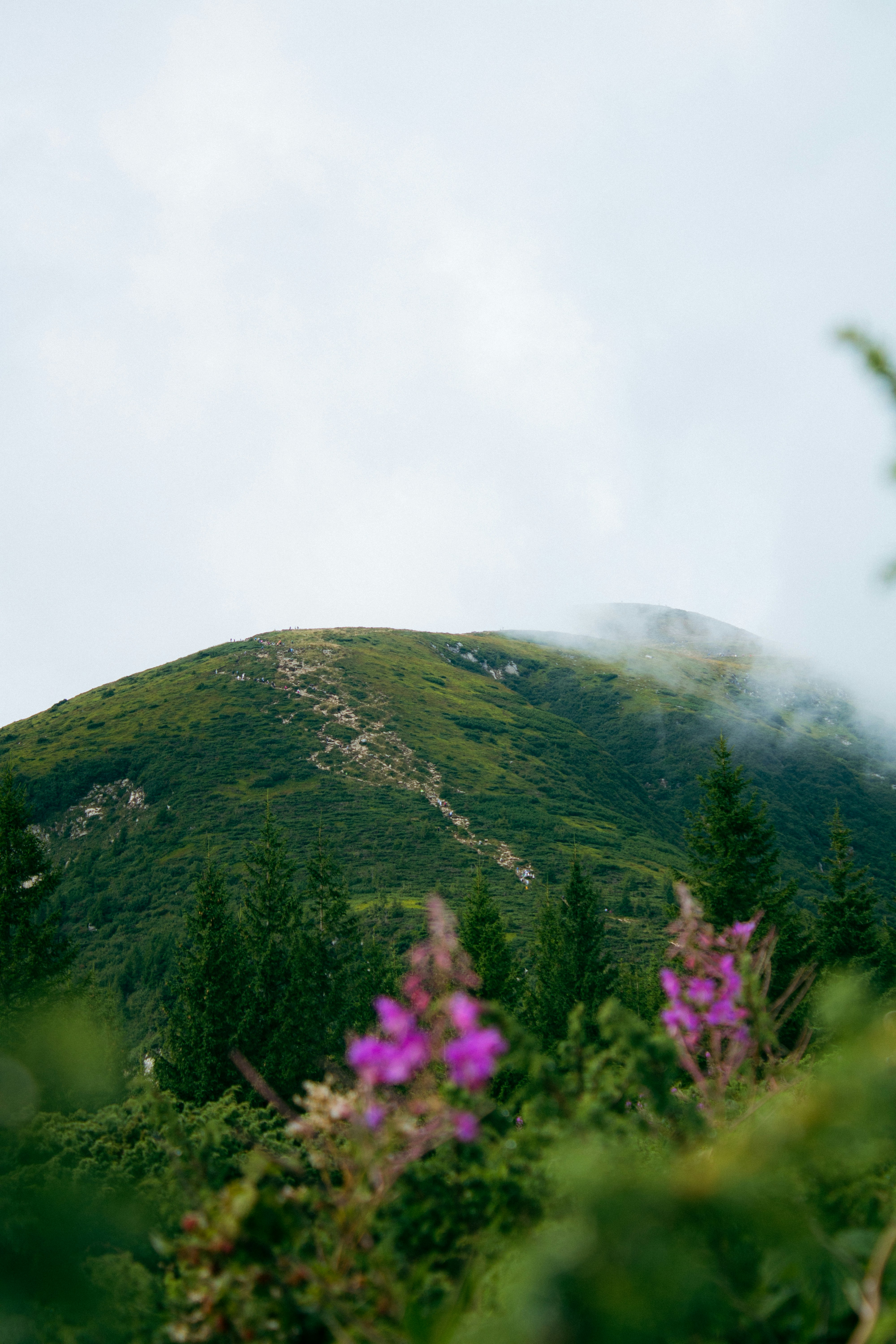 Photo by kolesnykyan