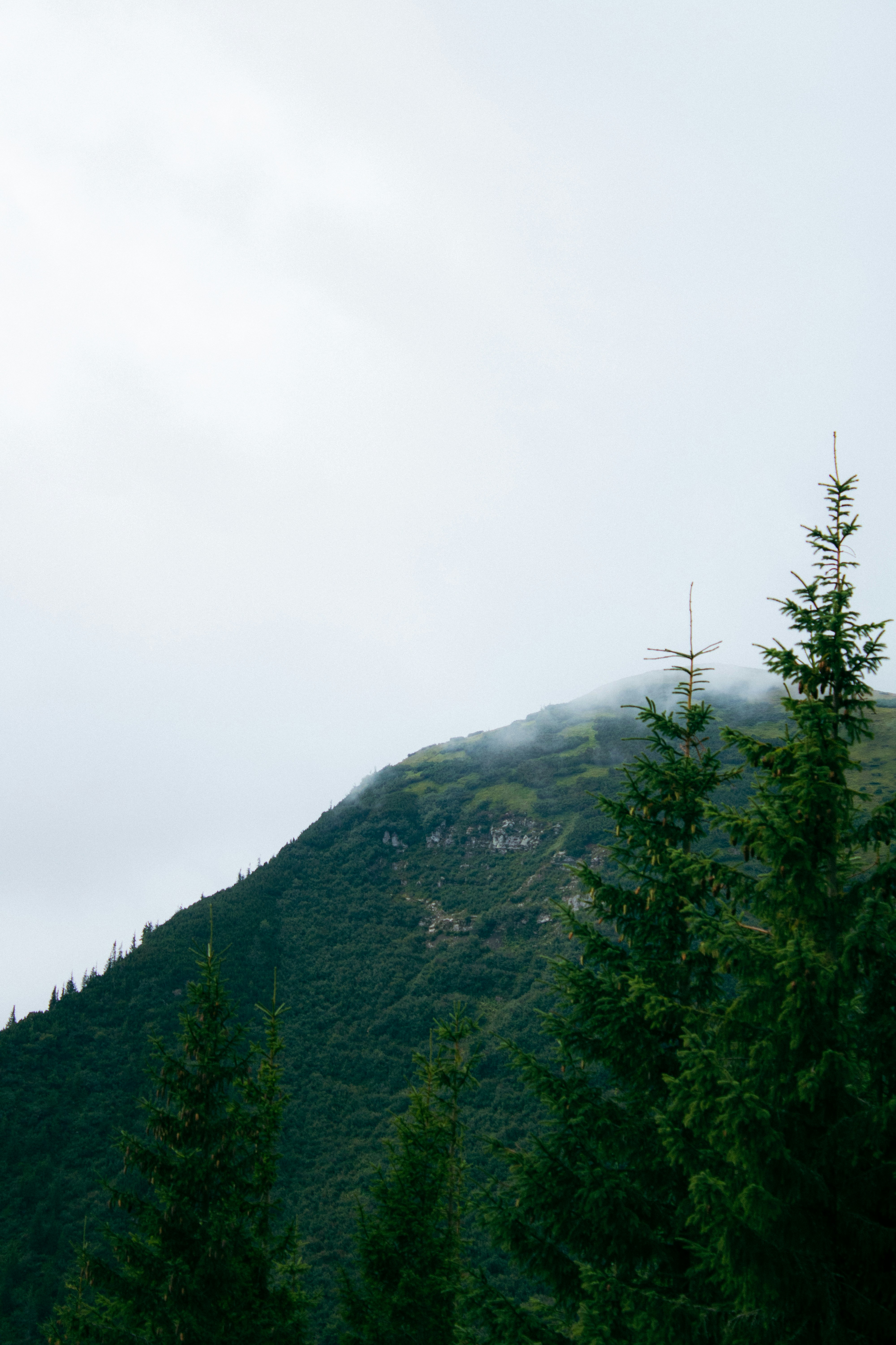 Photo by kolesnykyan