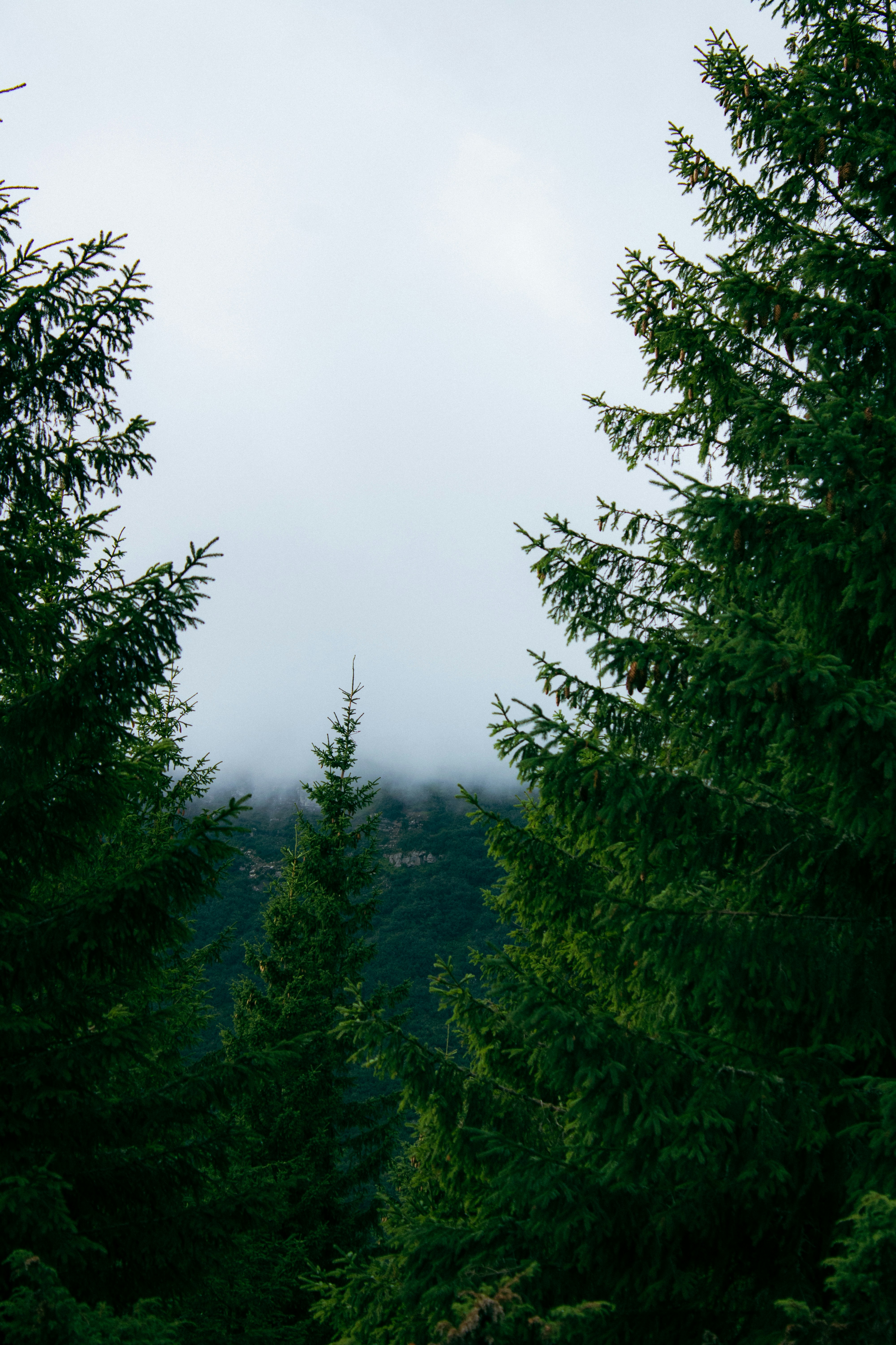 Photo by kolesnykyan