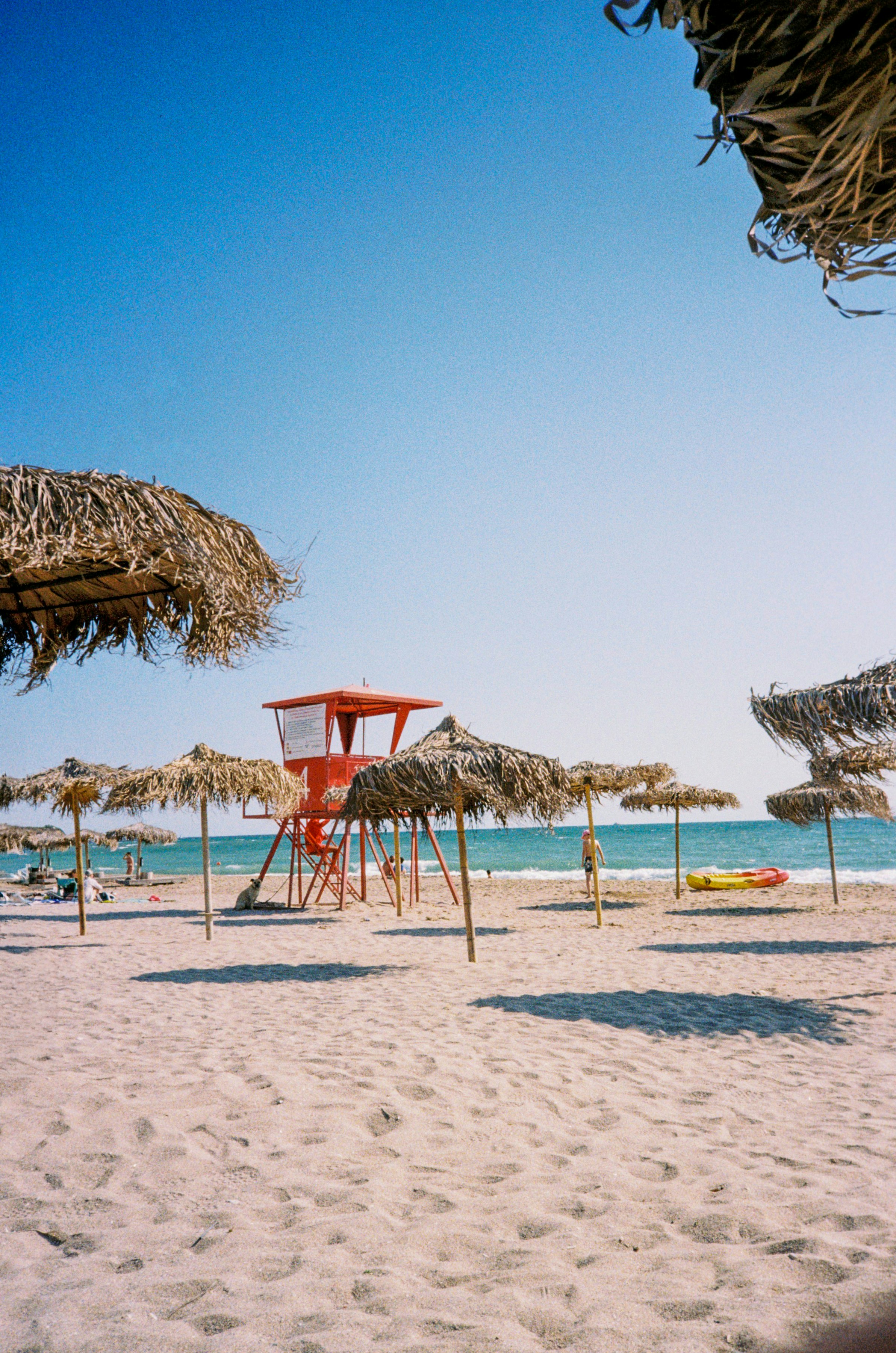 Photo by mirceadrian