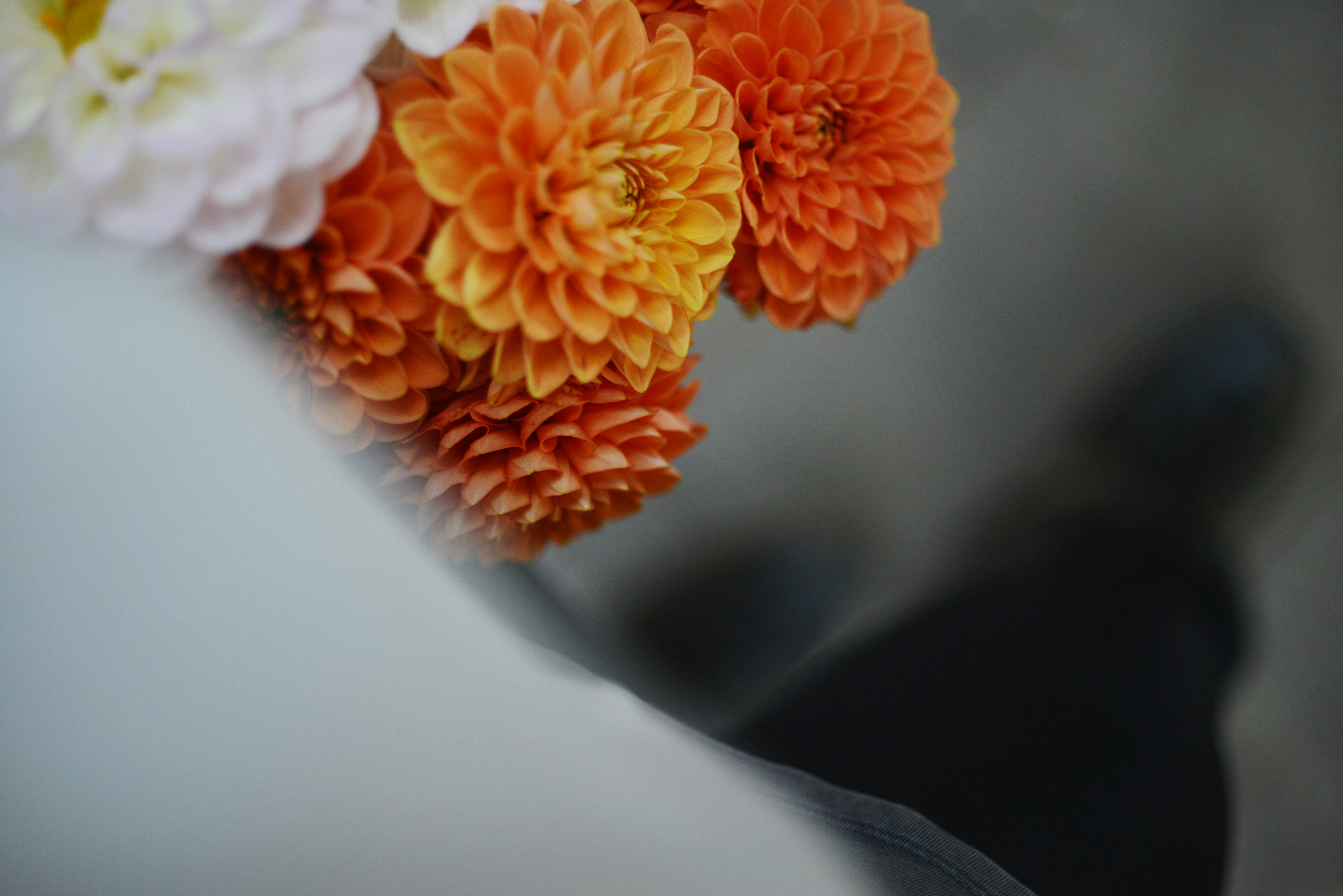 Photo by cherstve_pechivo