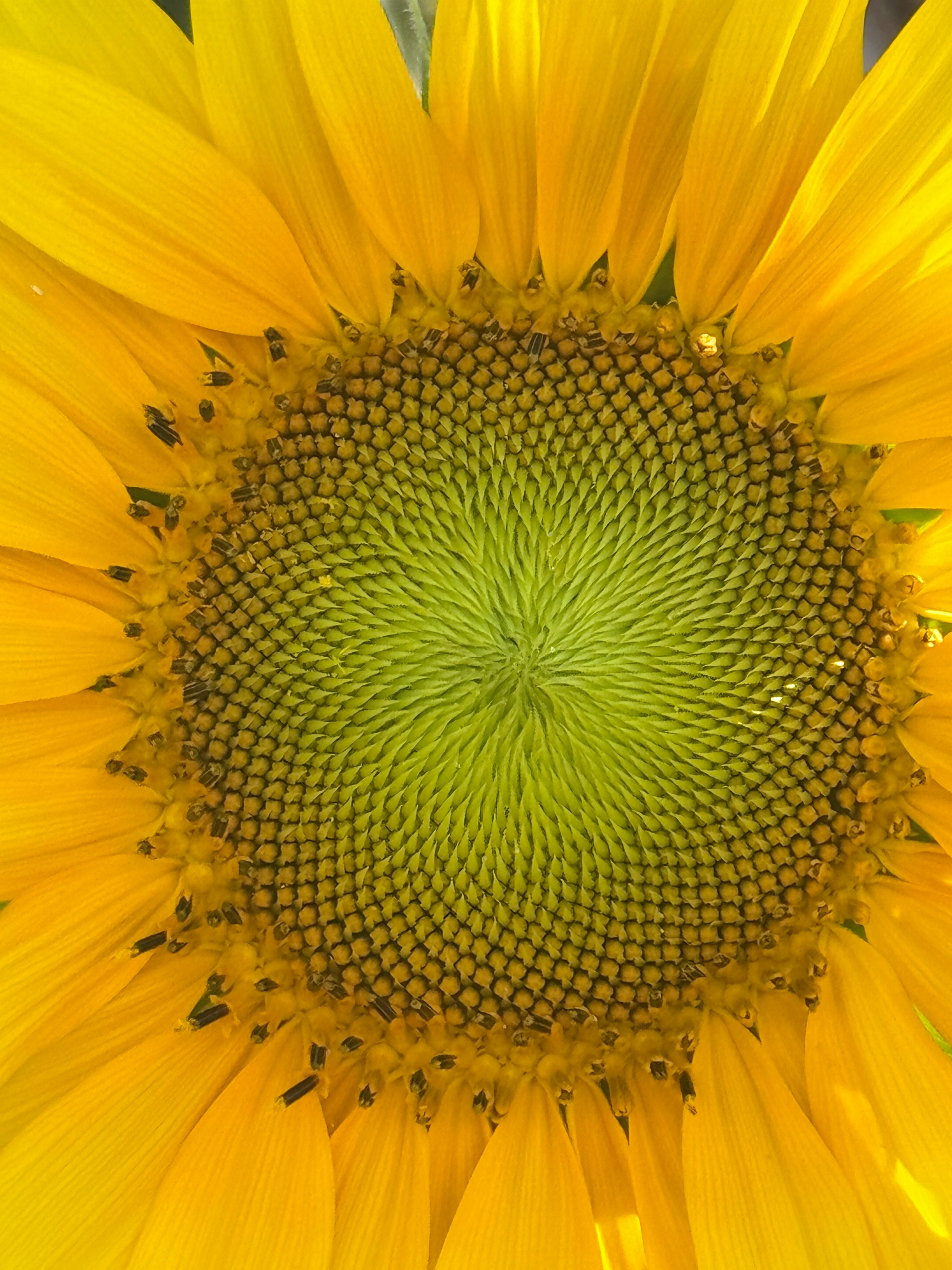 Photo by renemolenkamp