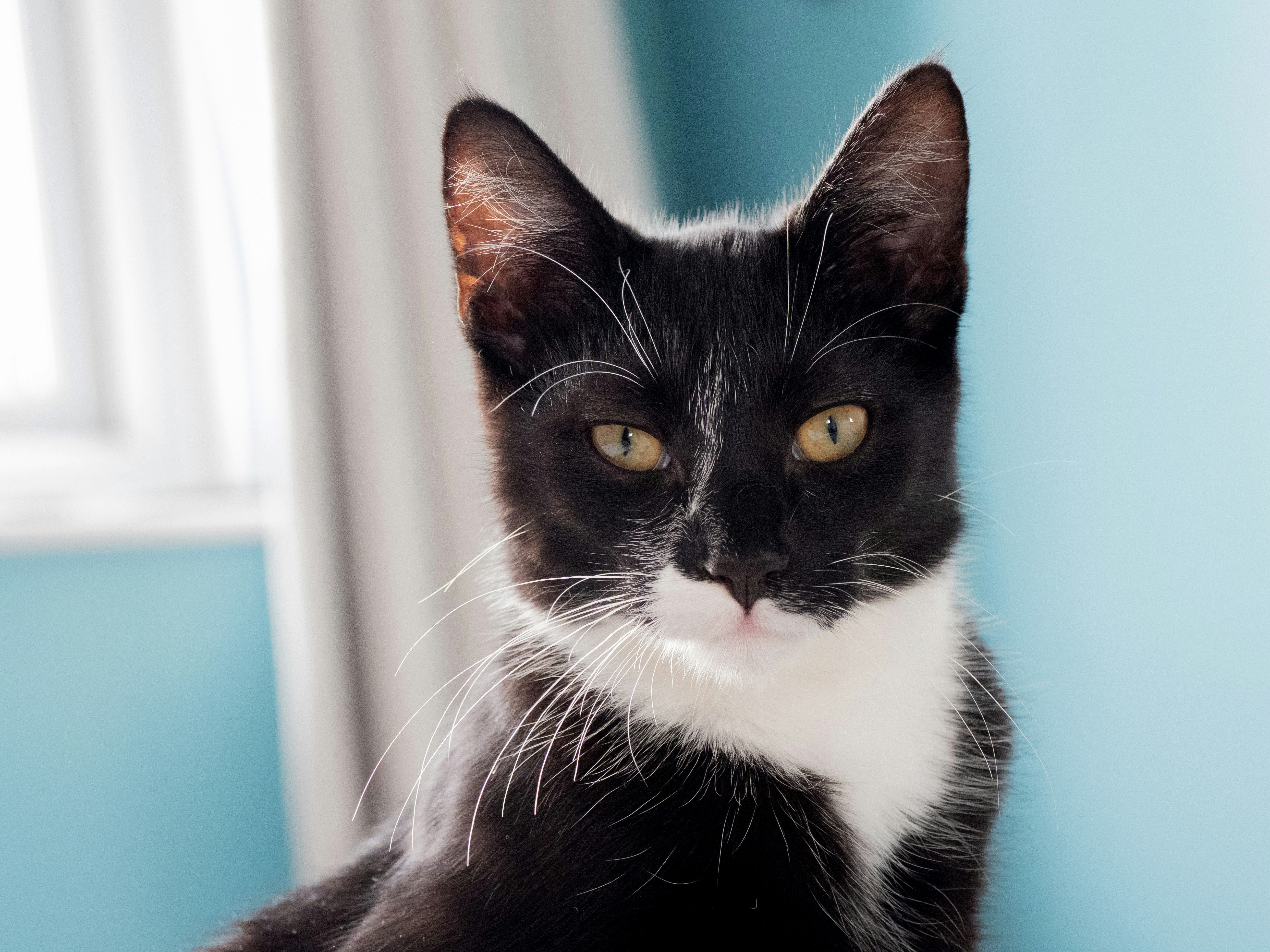 Photo by brett_jordan