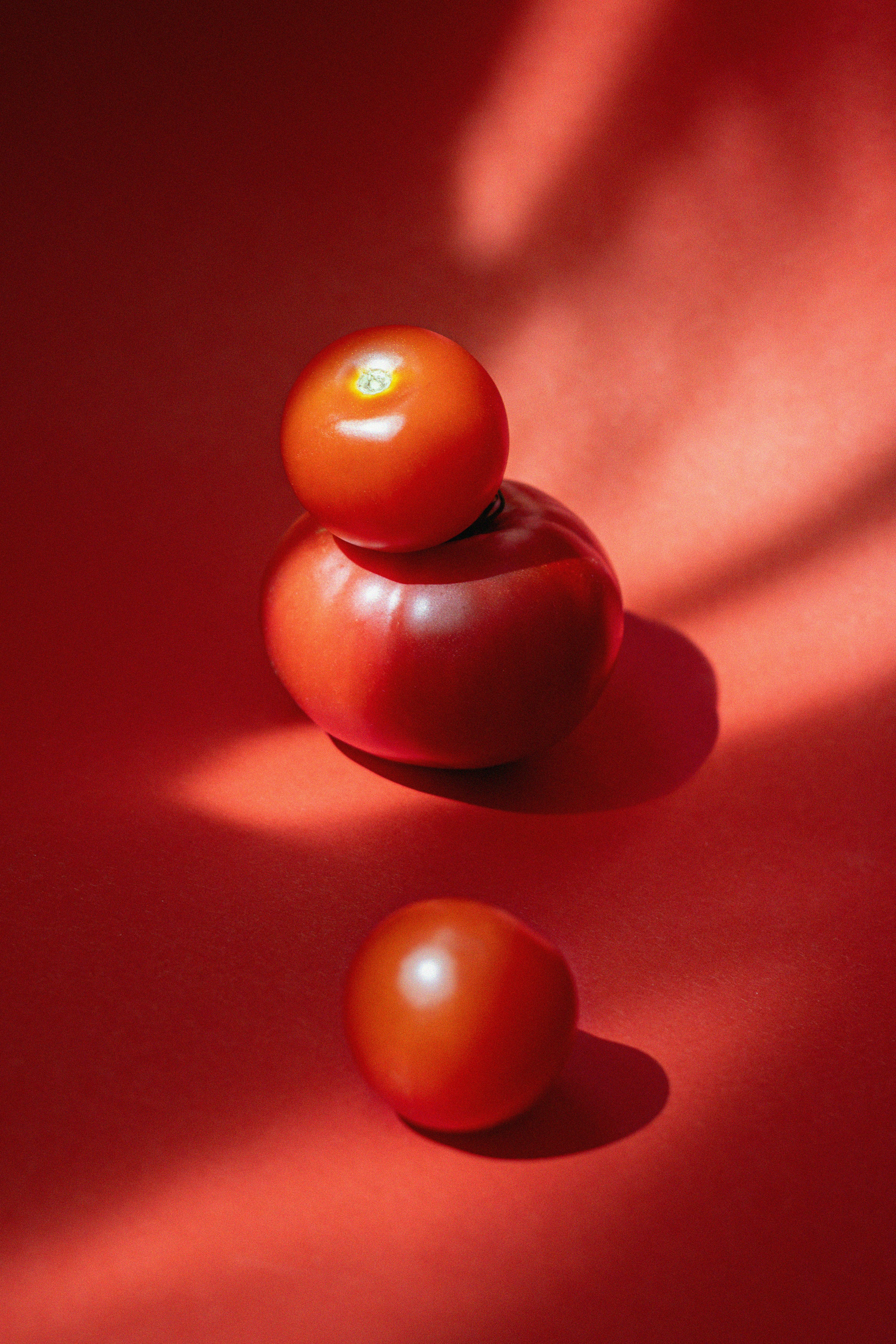 Photo by salamonbogi