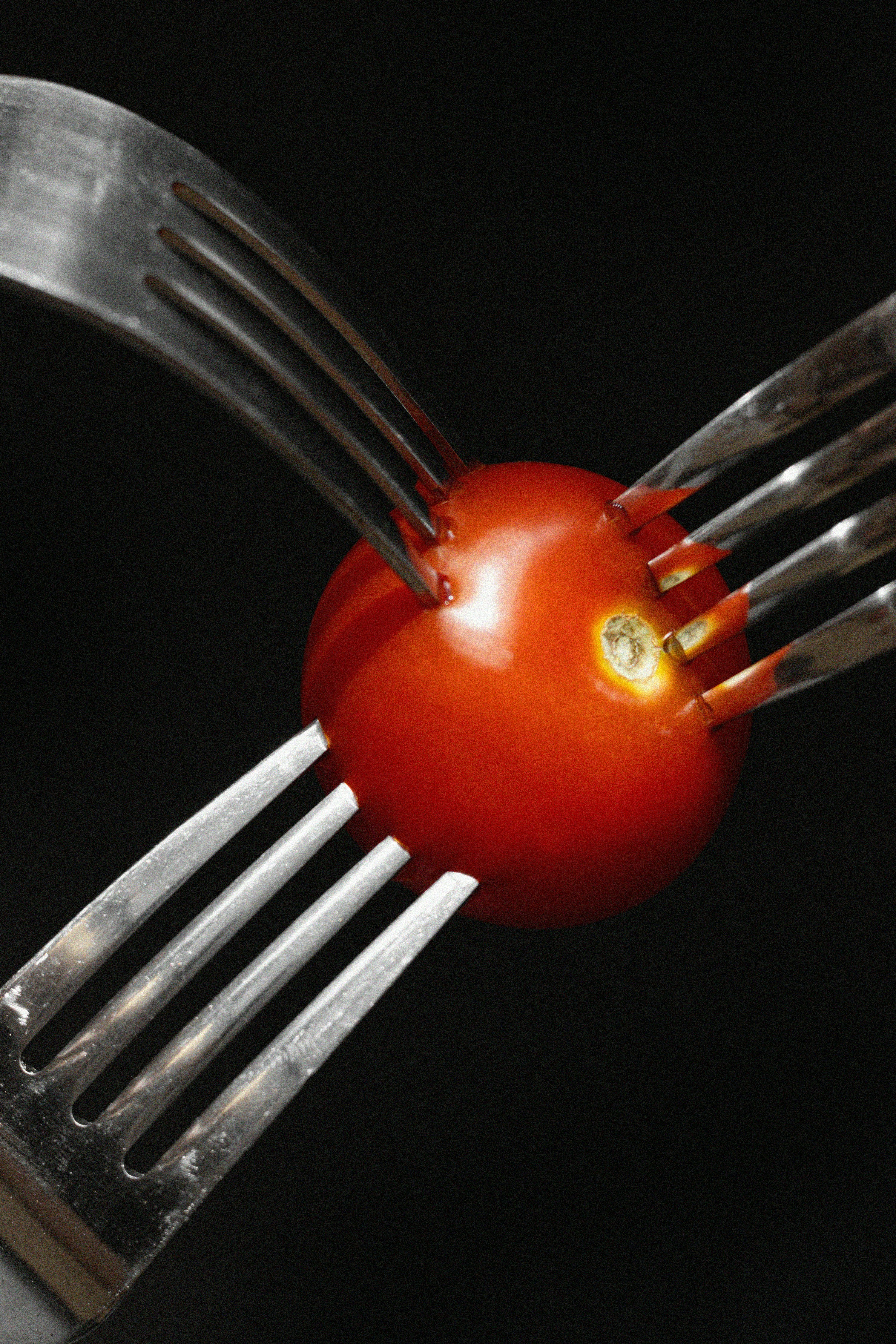 Quatre fourchettes pour percer une seule tomate mûre
