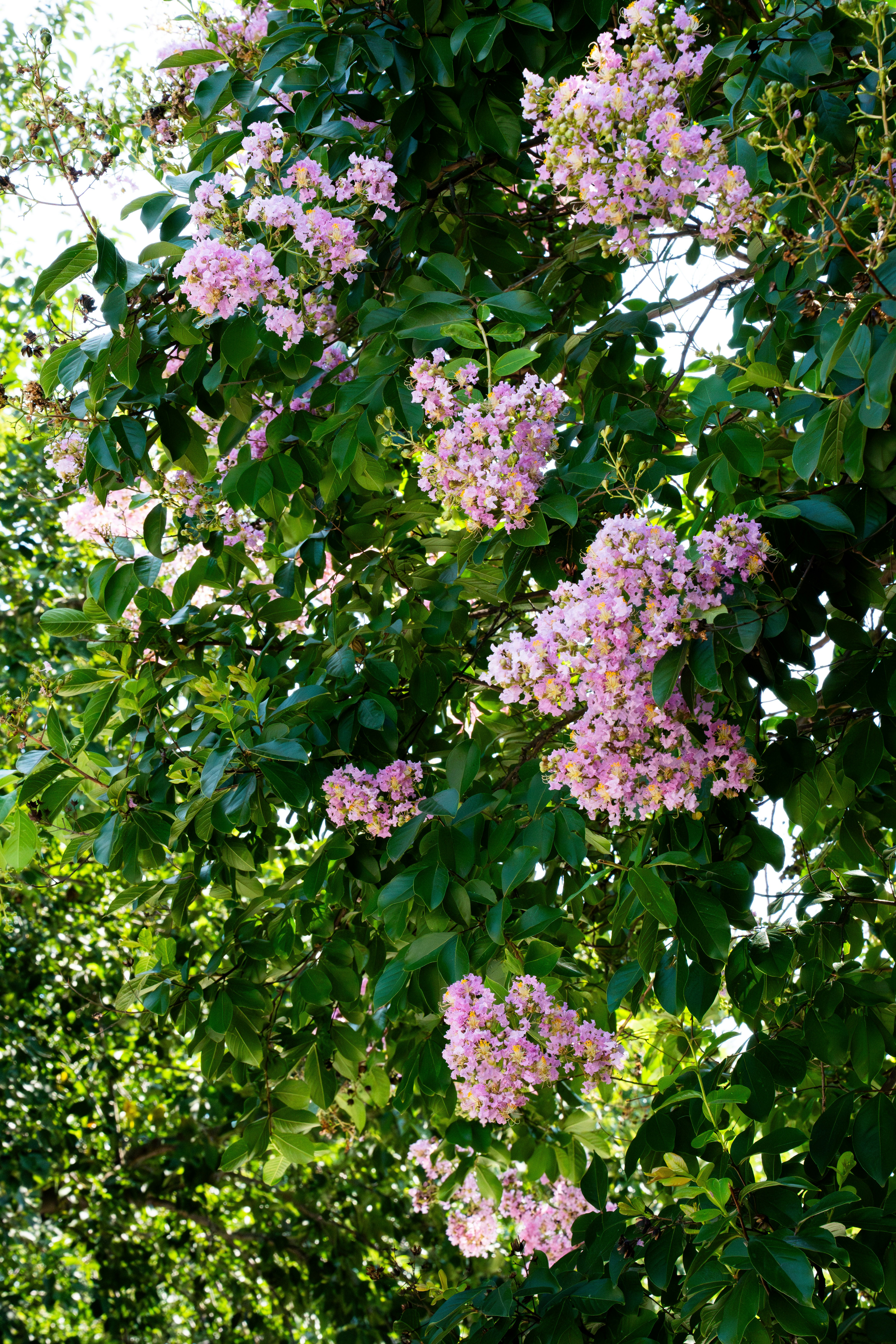 Photo by cullenjonez