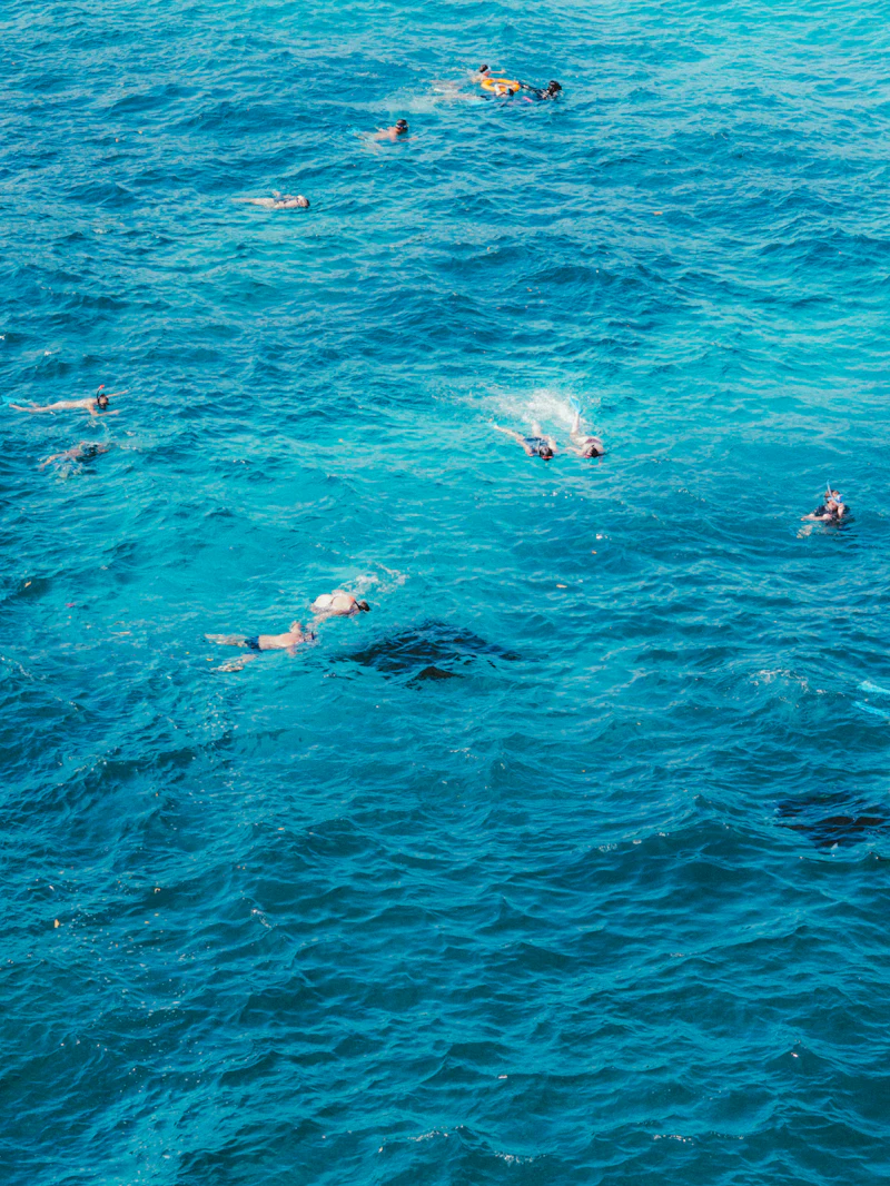Snorkeling in clear turquoise water