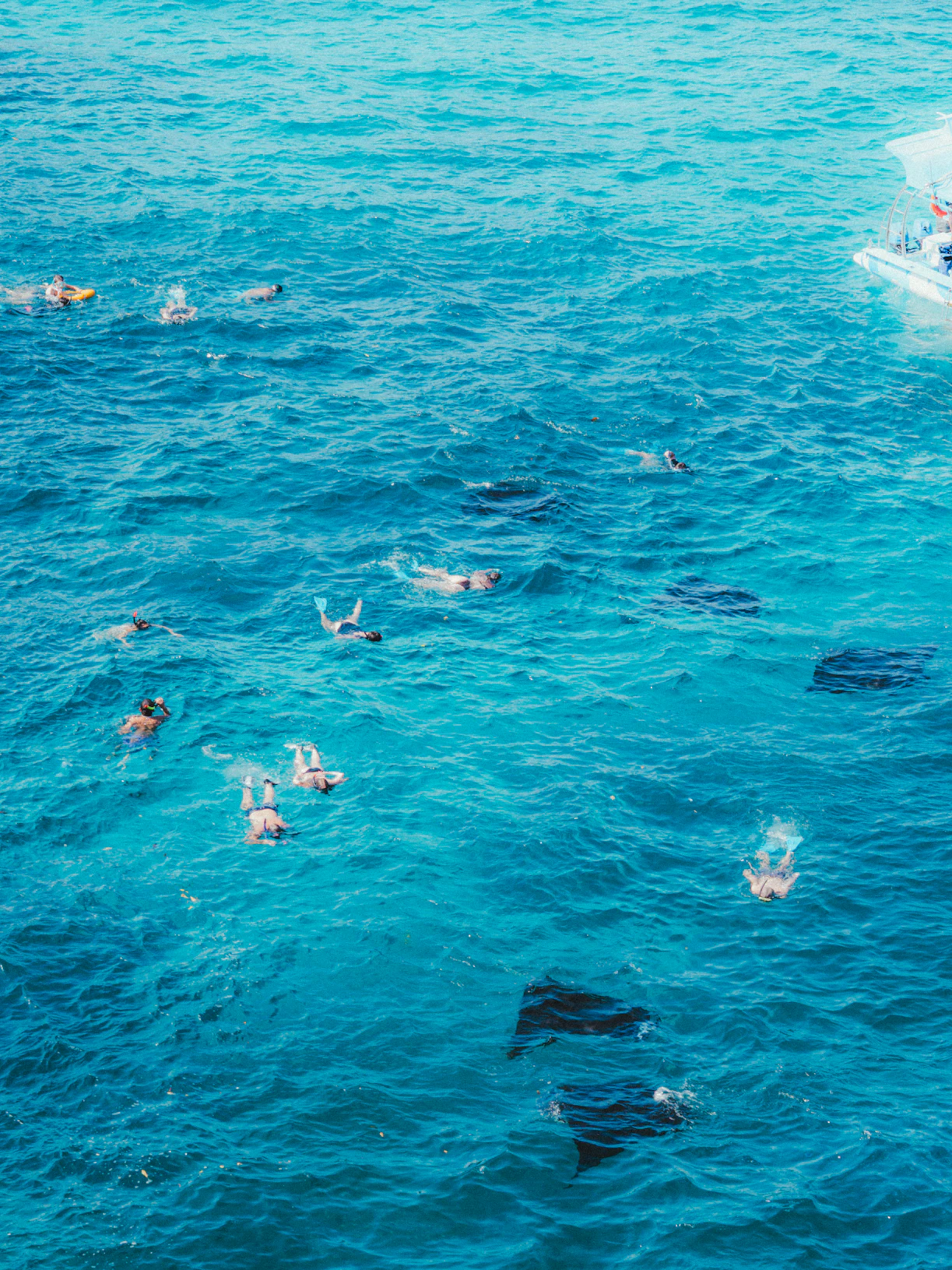 People snorkeling in clear blue ocean water near boat