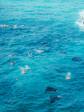 People snorkeling in clear blue ocean water near boat