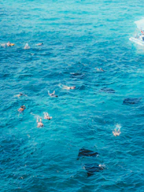 People snorkeling in clear blue ocean water near boat