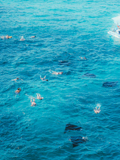 People snorkeling in clear blue ocean water near boat