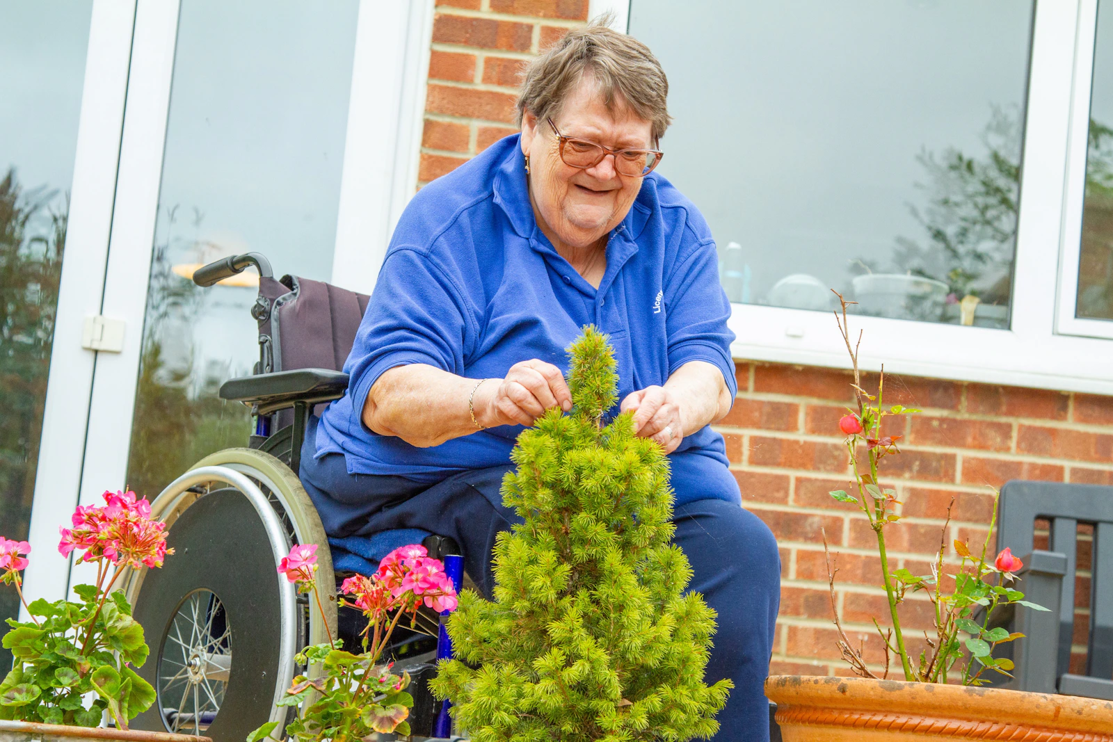 An older woman in a wheelchair tending a small plant