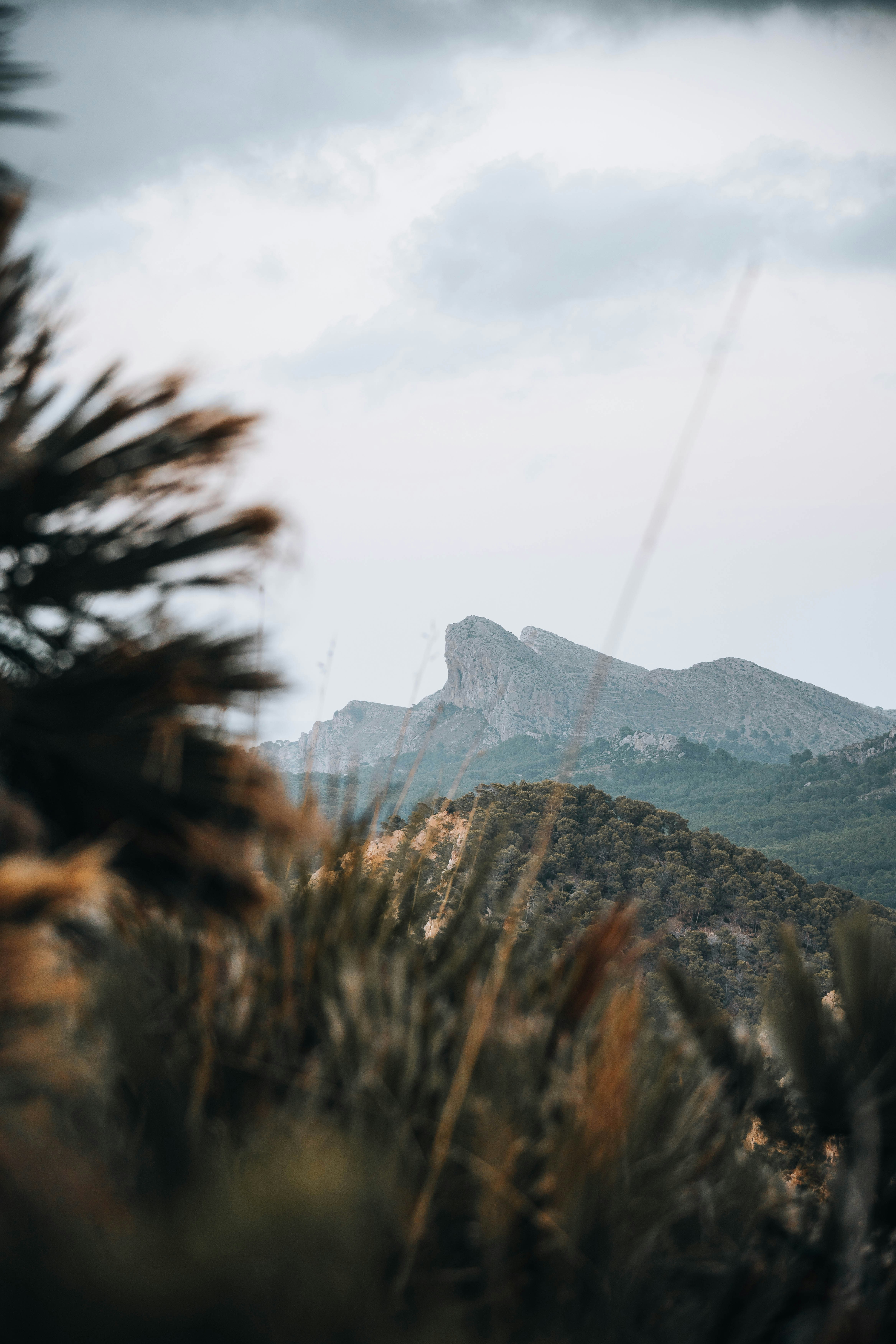 Photo by jonasdegener