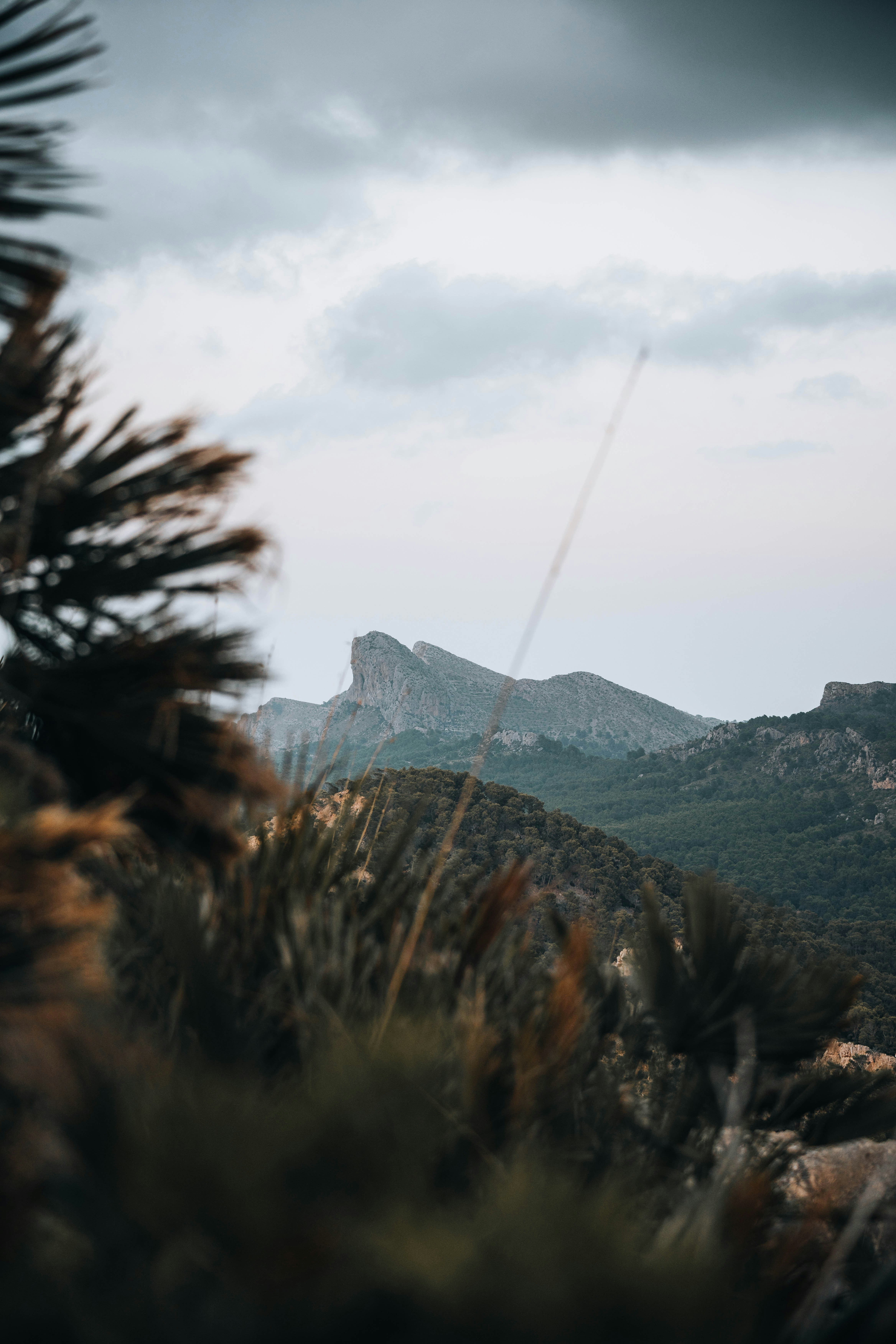 Photo by jonasdegener