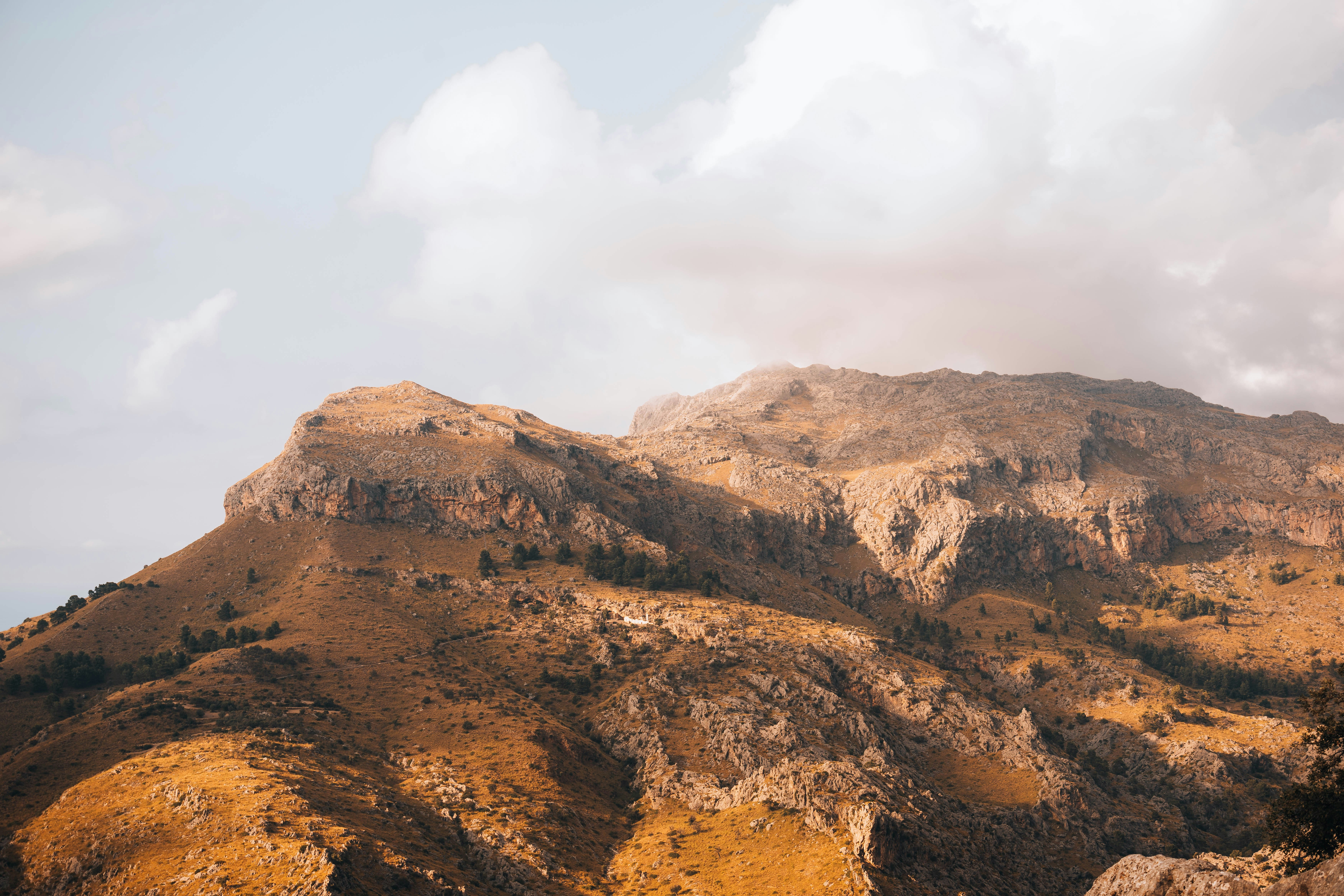 Photo by jonasdegener