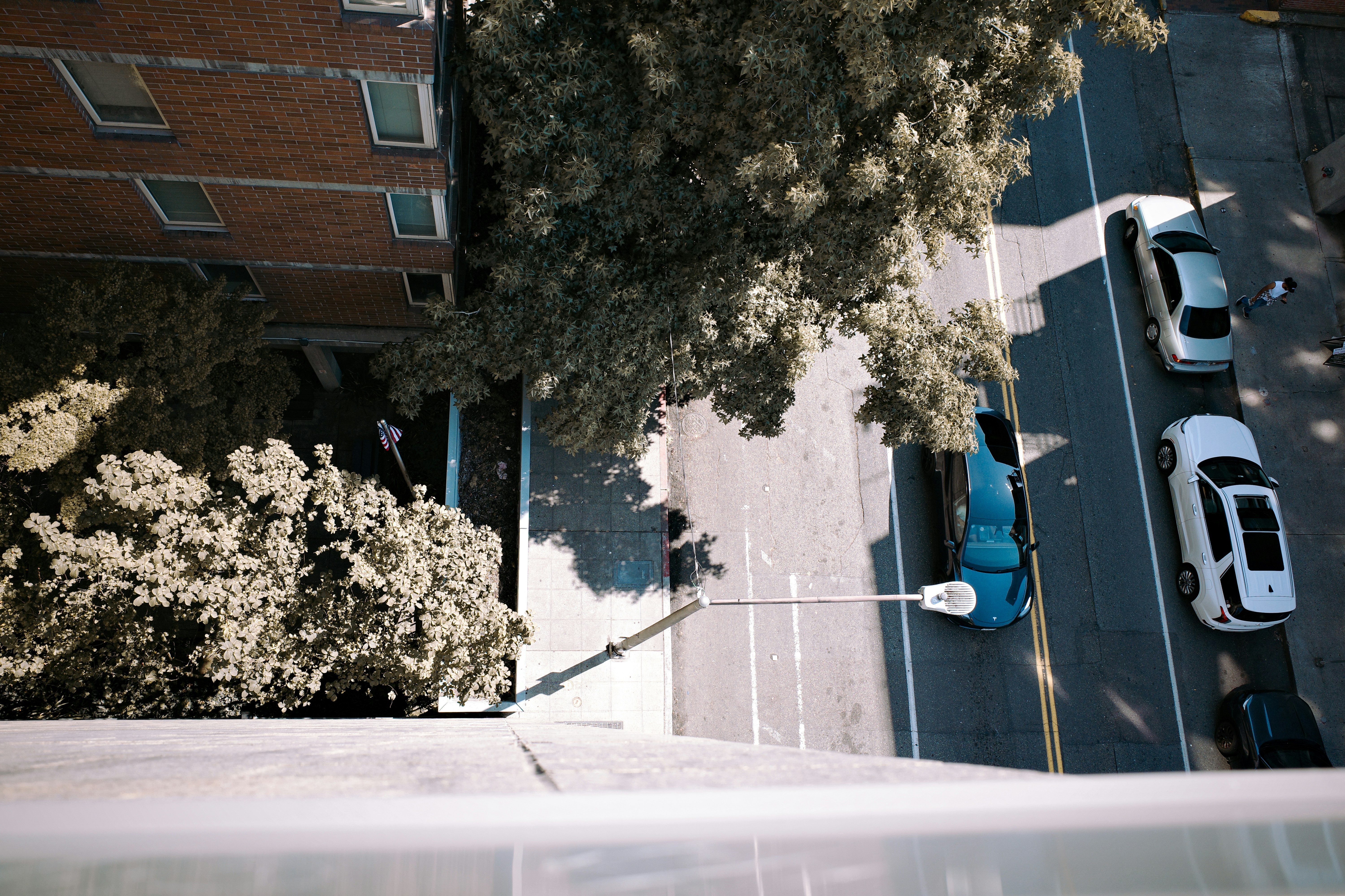 Aerial view of a street with cars and trees
