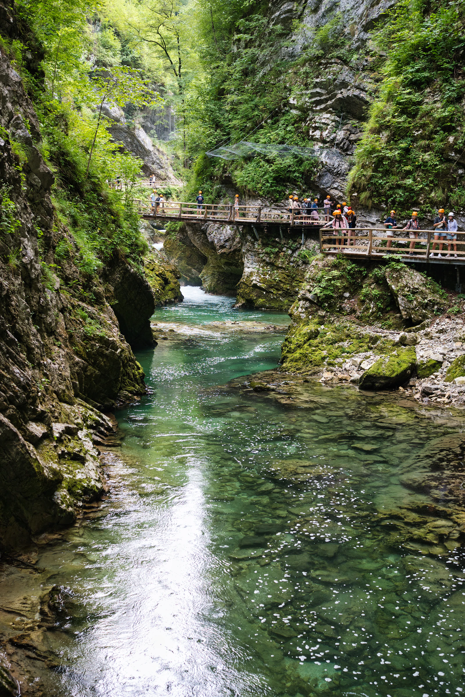 Passerelles en bois au-dessus d'un torrent dans une gorge (image d'illustration, gorge de Vintgar, Slovénie)
