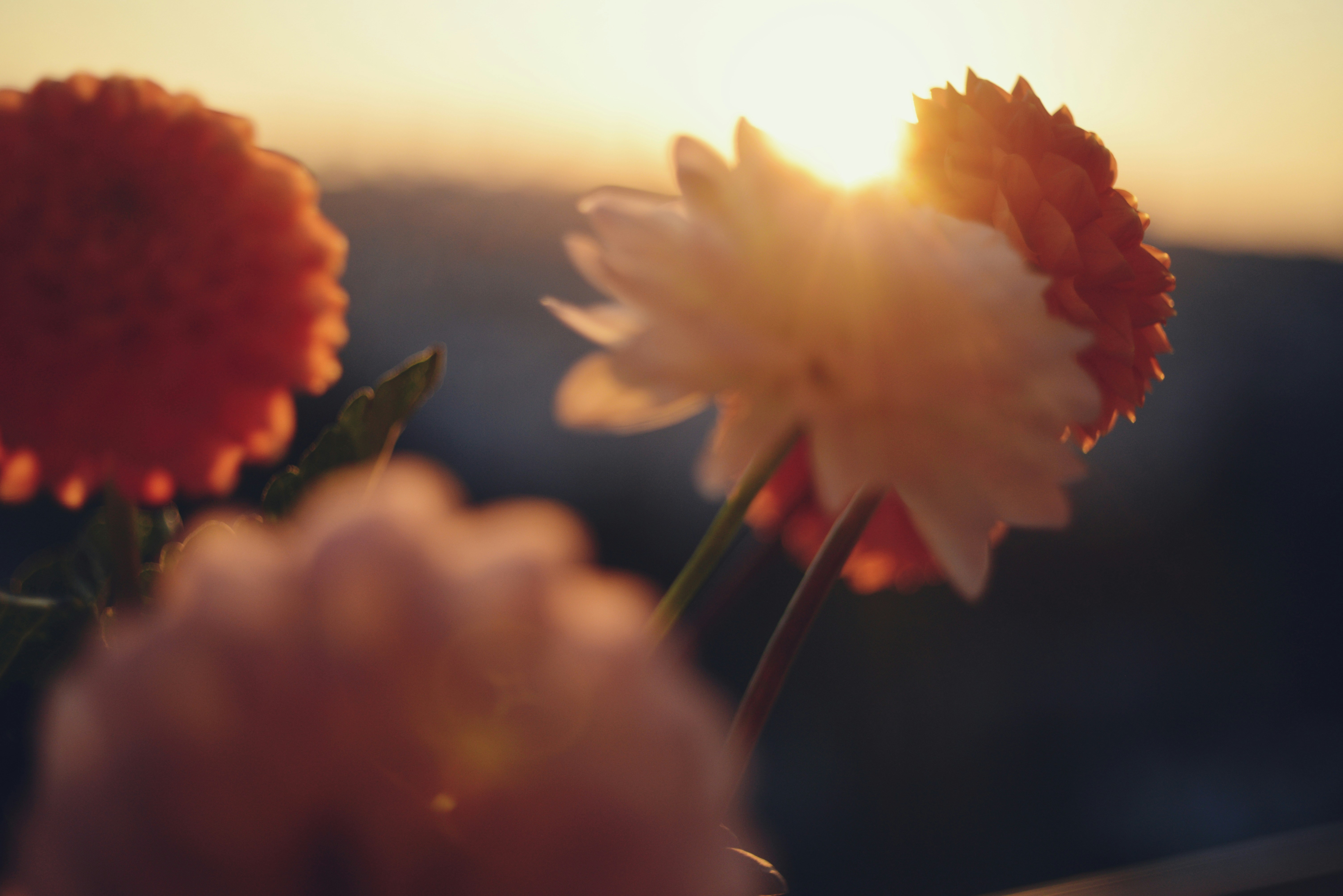 Photo by cherstve_pechivo