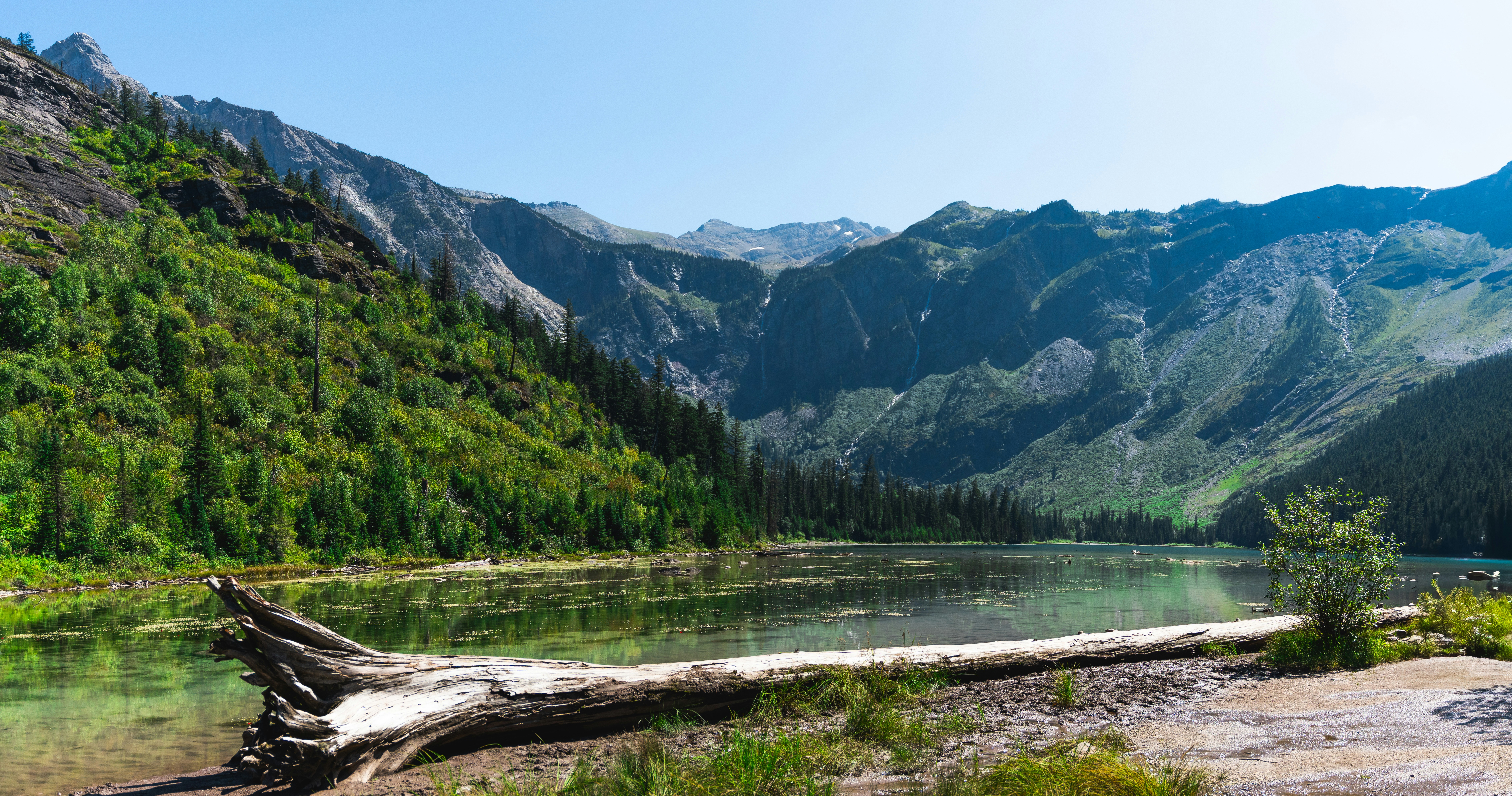 Photo by vasupendyalaa