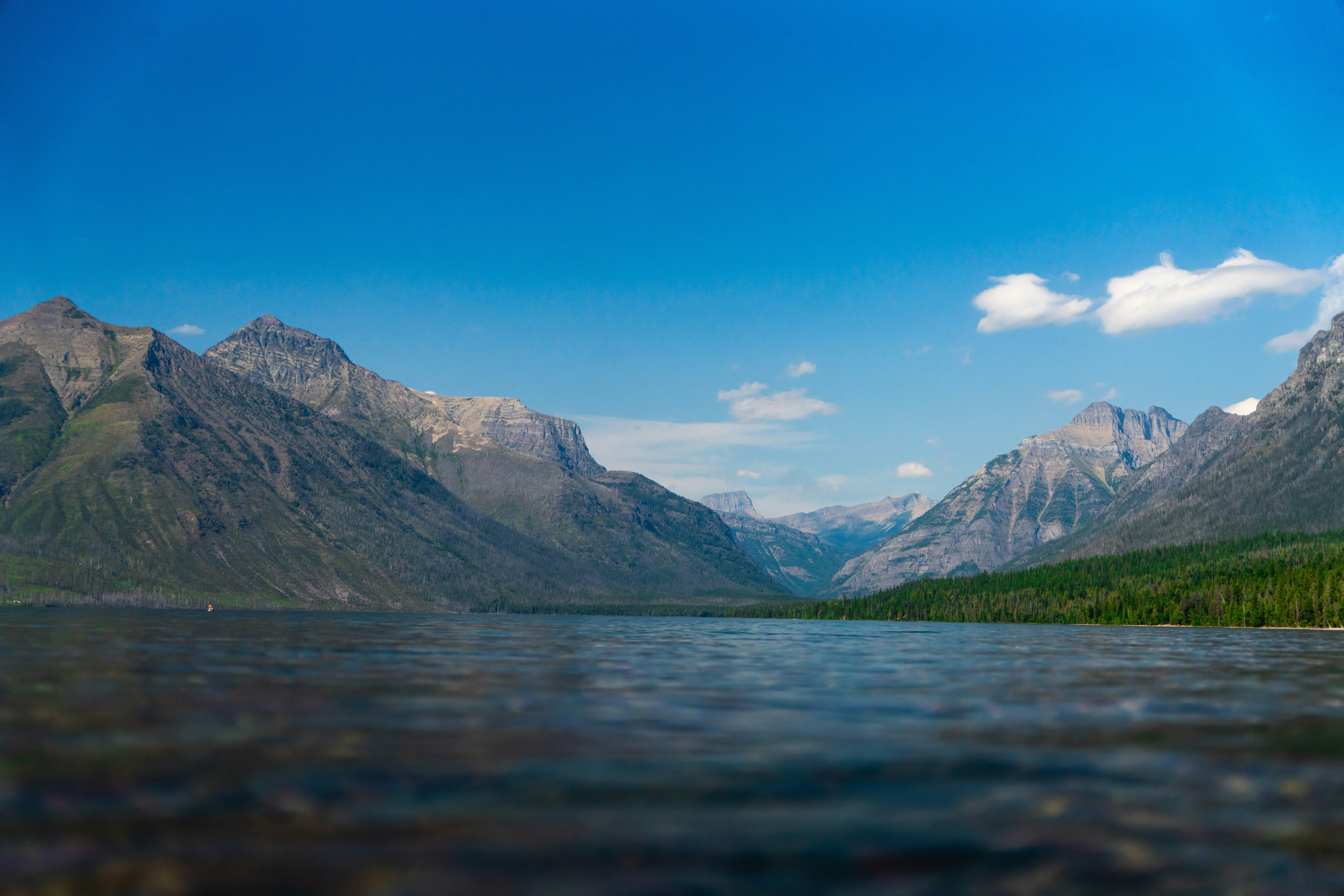 Photo by vasupendyalaa