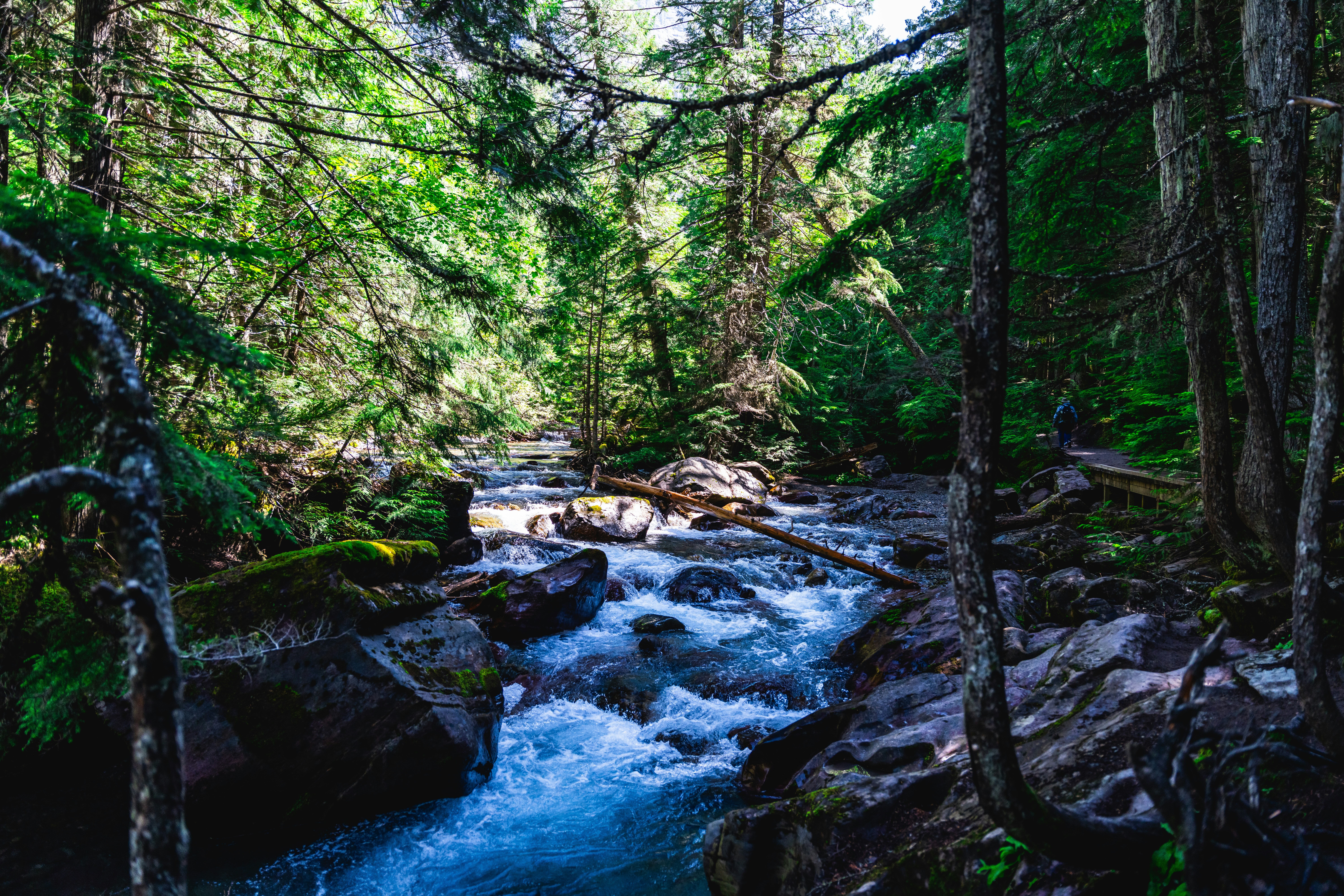 Photo by vasupendyalaa