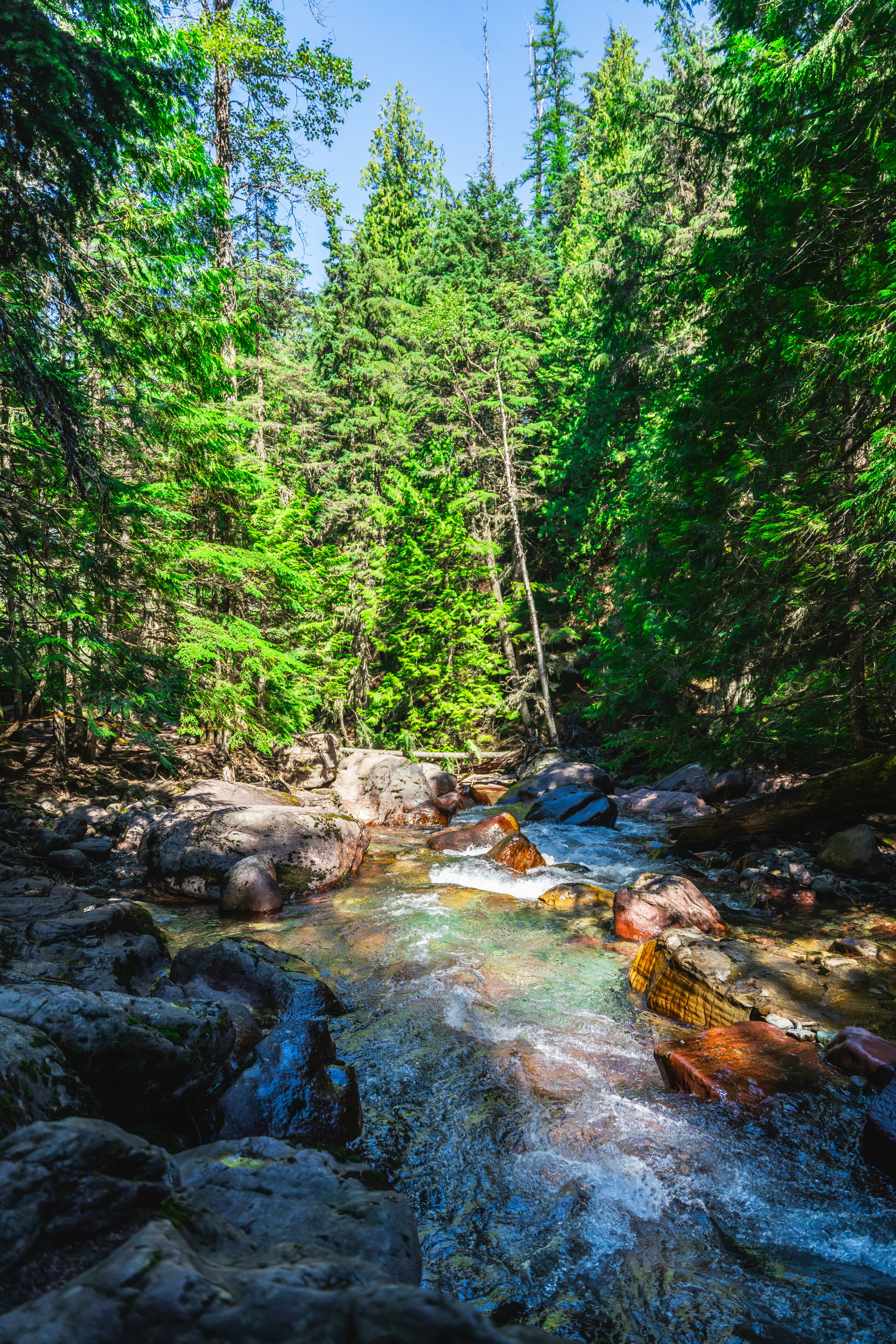 Photo by vasupendyalaa