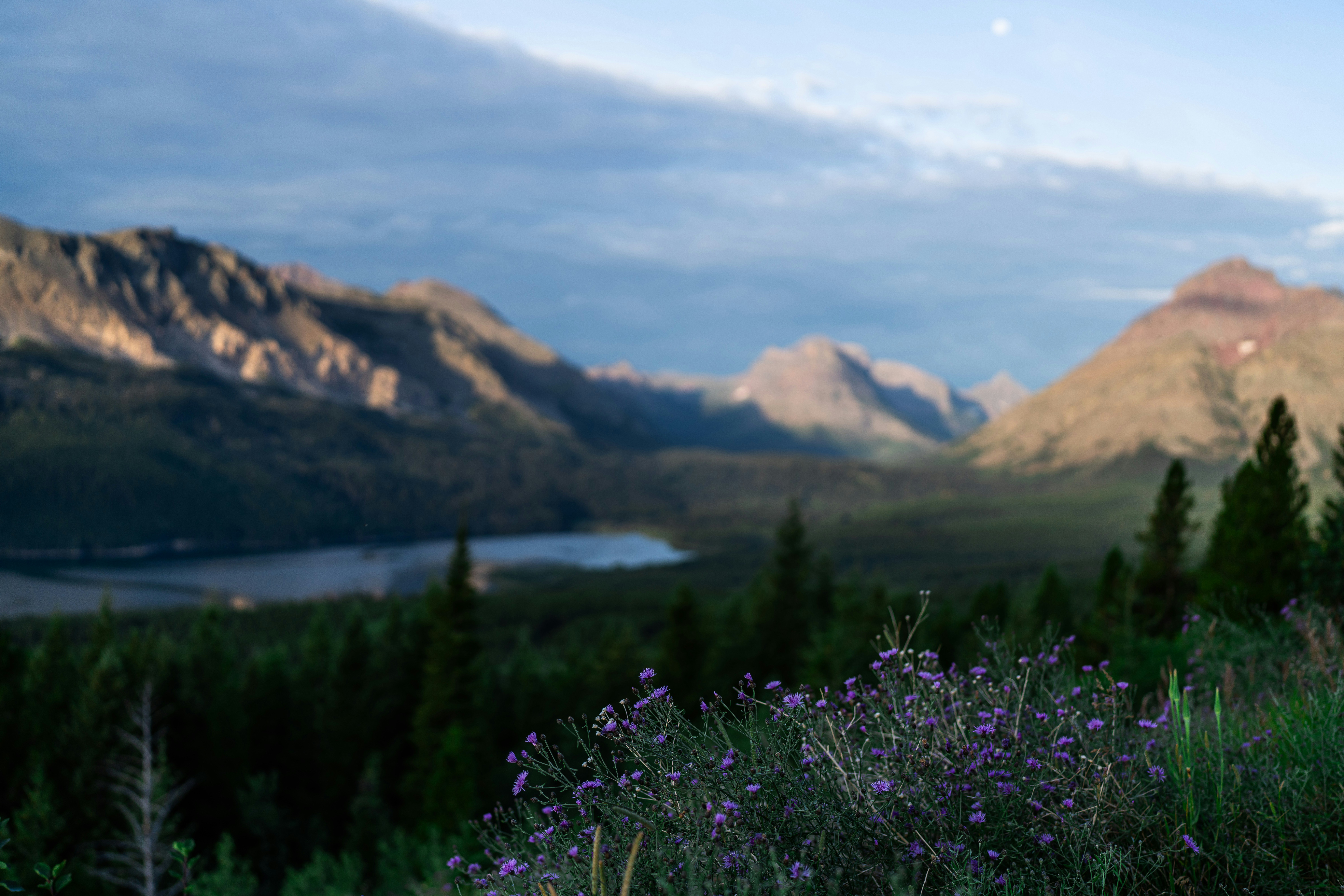 Minimalism in Beauty: 5 Life-Changing Apps for Your Skincare Journey