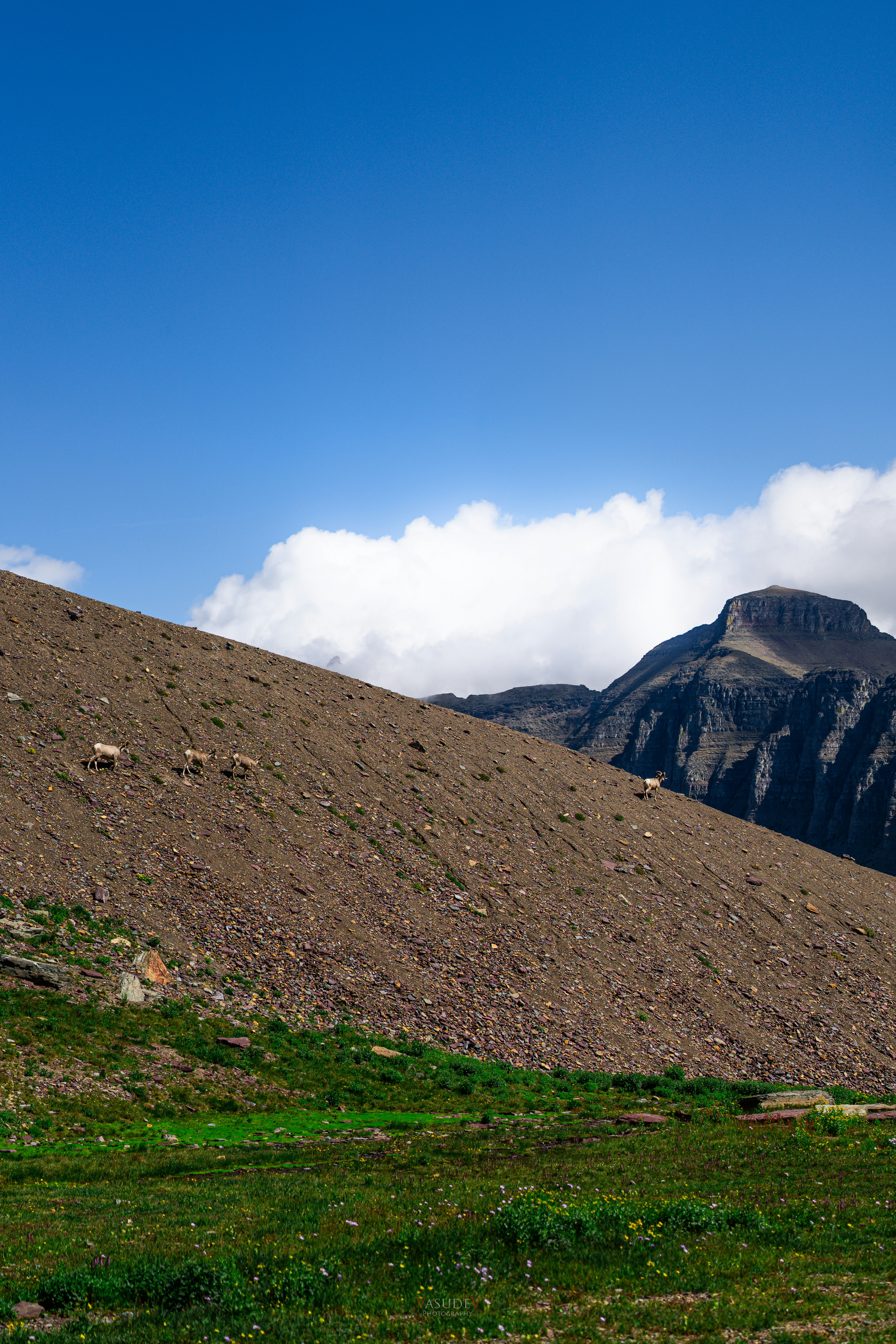 Photo by vasupendyalaa